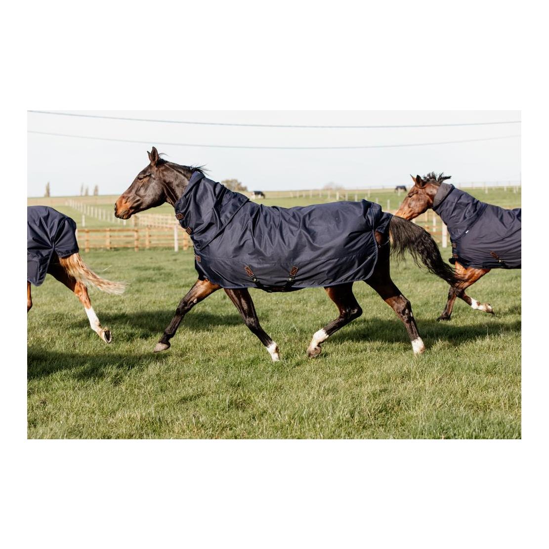 Weidedecke Turnout all weather Quick dry Fleece mit Halsteil 0 Gramm