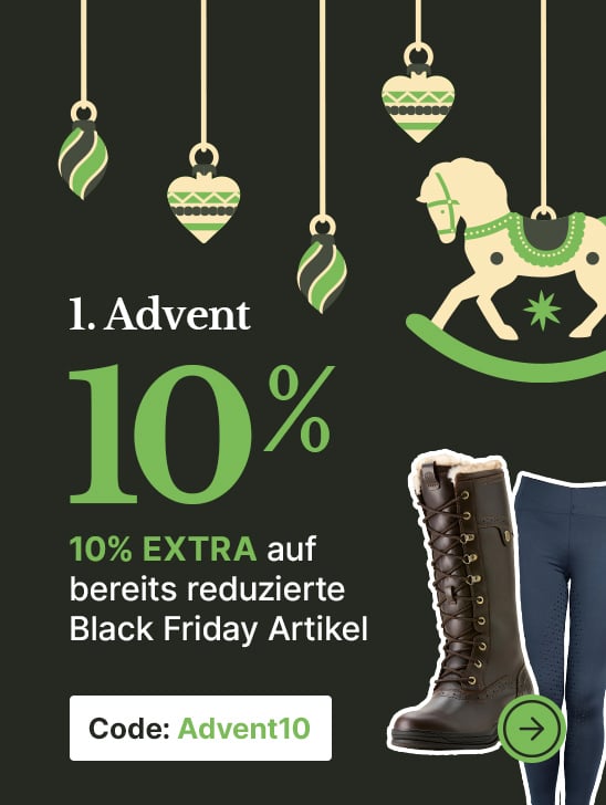 RS-Adventsaktionen-EKW-548x728-2x-startpage-DE-1