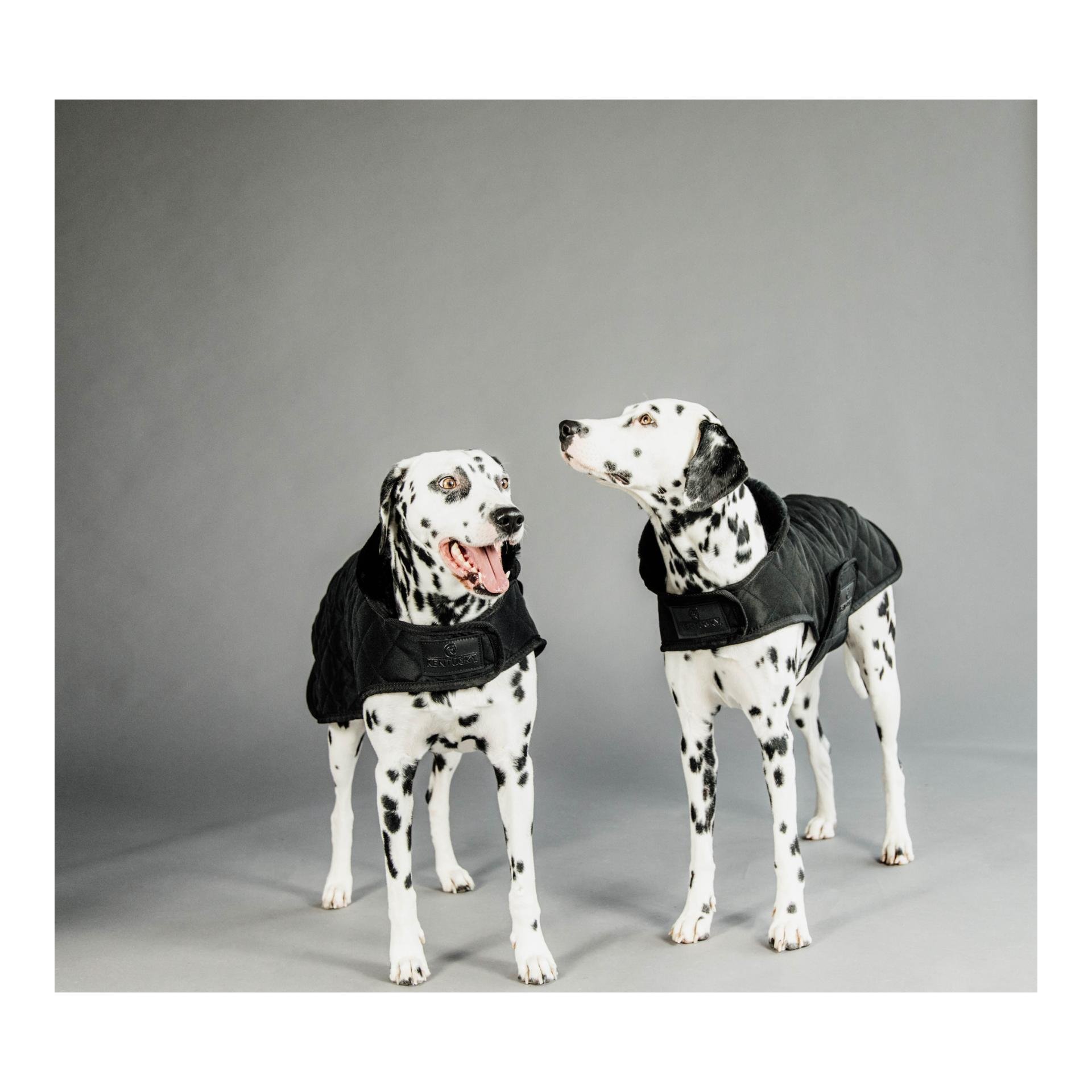 Hundemantel Original - black/black Hundemantel Original - black/black