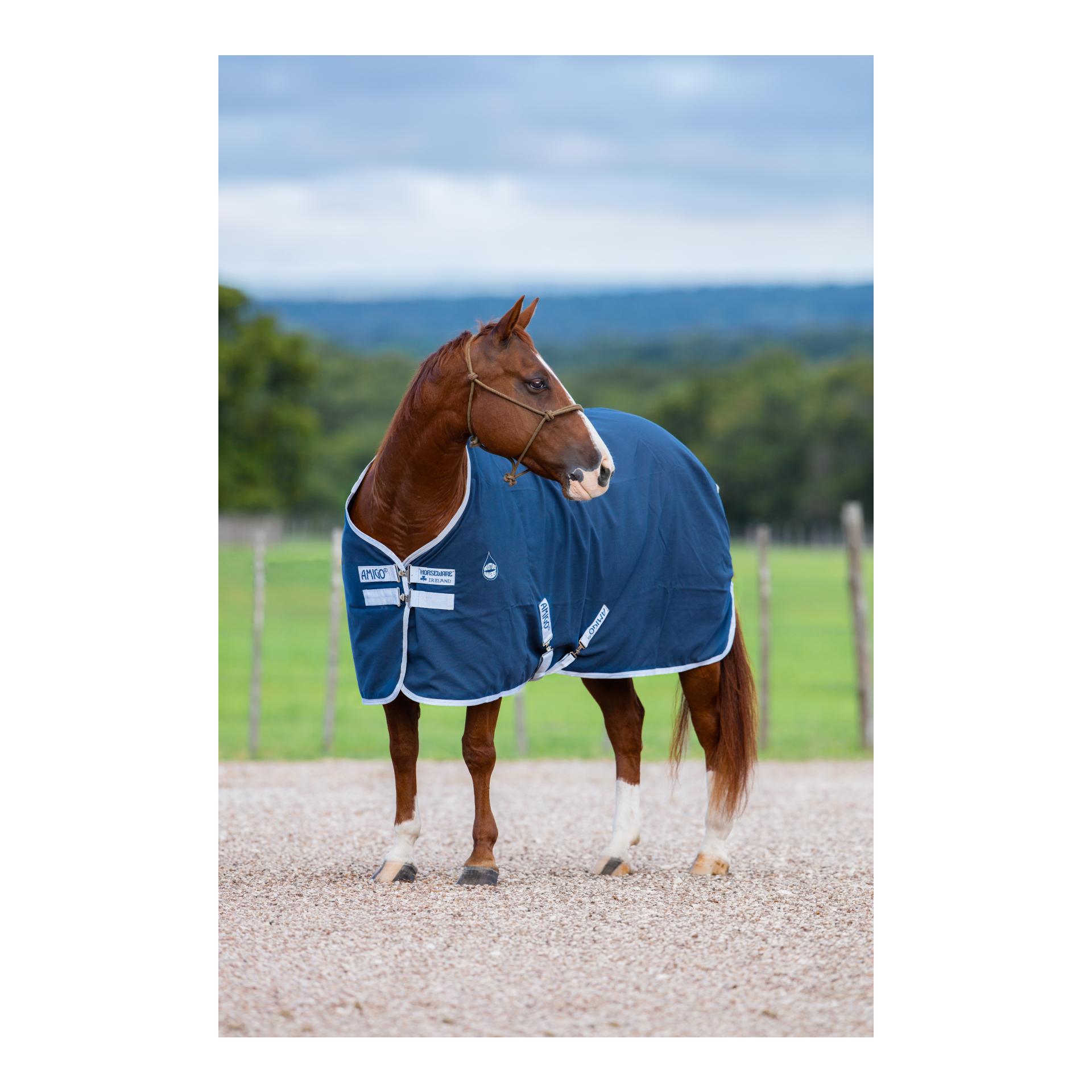 Couverture d'écurie/transport Amigo Jersey - navy/argenté