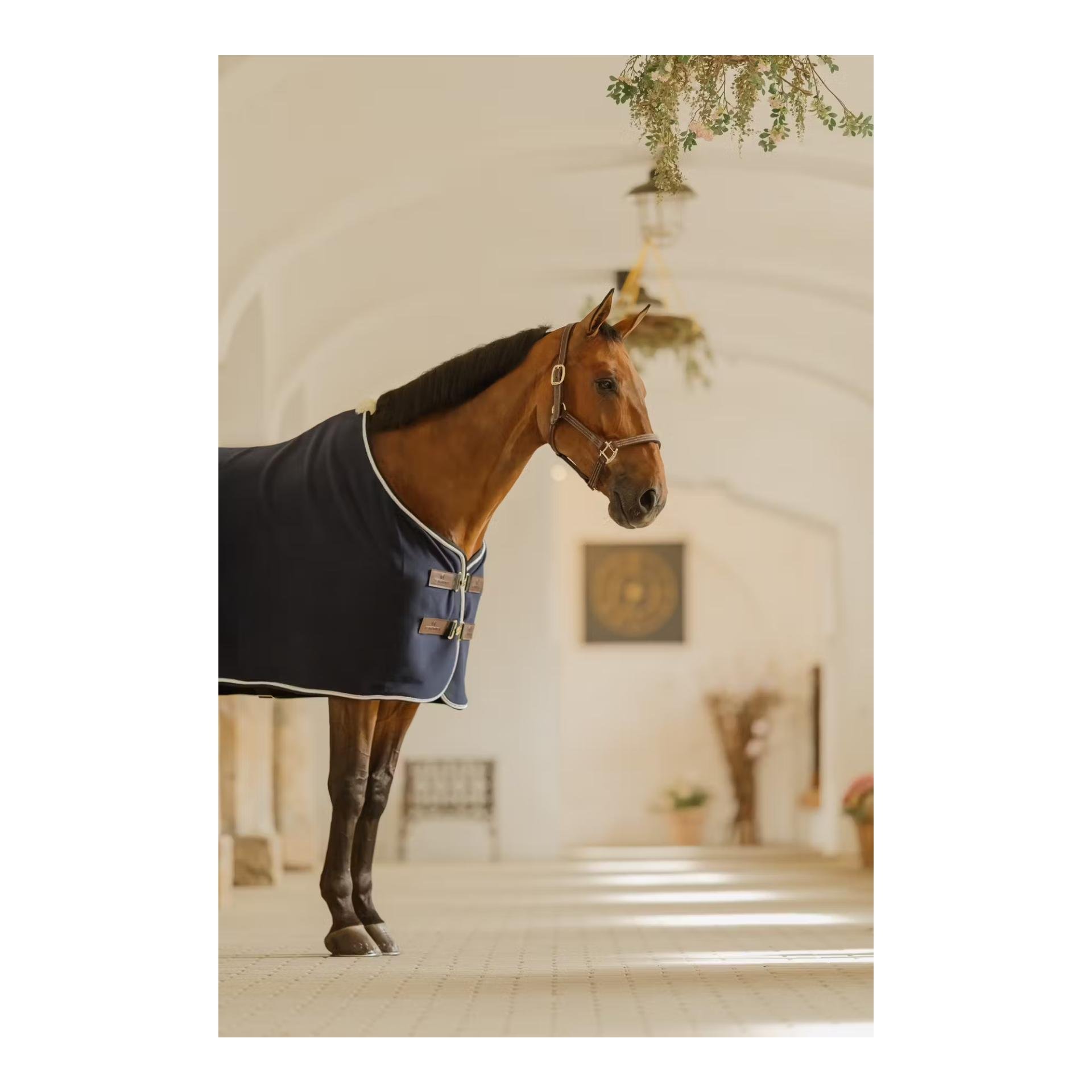 Abschwitzdecke Show vegan wool Abschwitzdecke Show vegan wool
