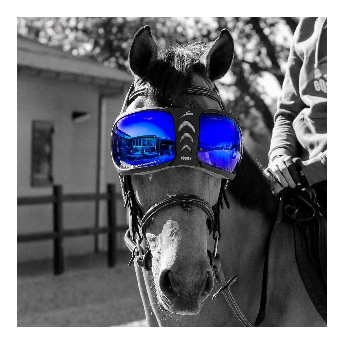 Verres de rechange pour eVysor - kit