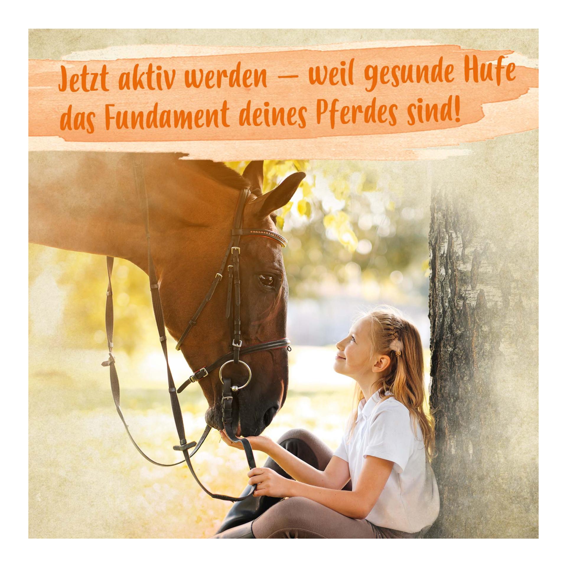 Biotin + Zink für Pferde - hochdosiert - verbessert Hufqualität & Hufwachstum Biotin + Zink für Pferde - hochdosiert - verbessert Hufqualität & Hufwachstum