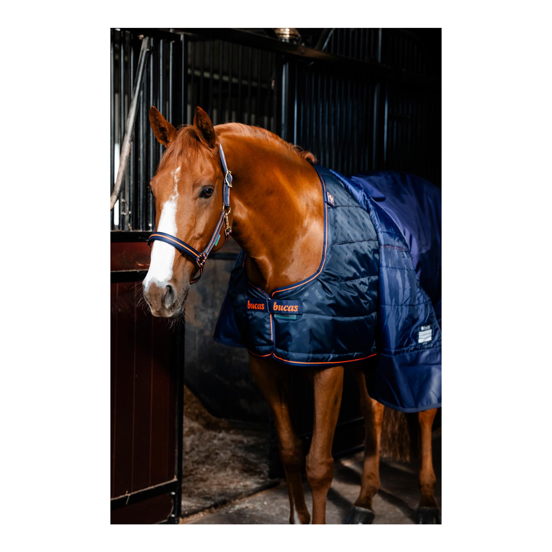 Bucas Liner Therapy 150g 