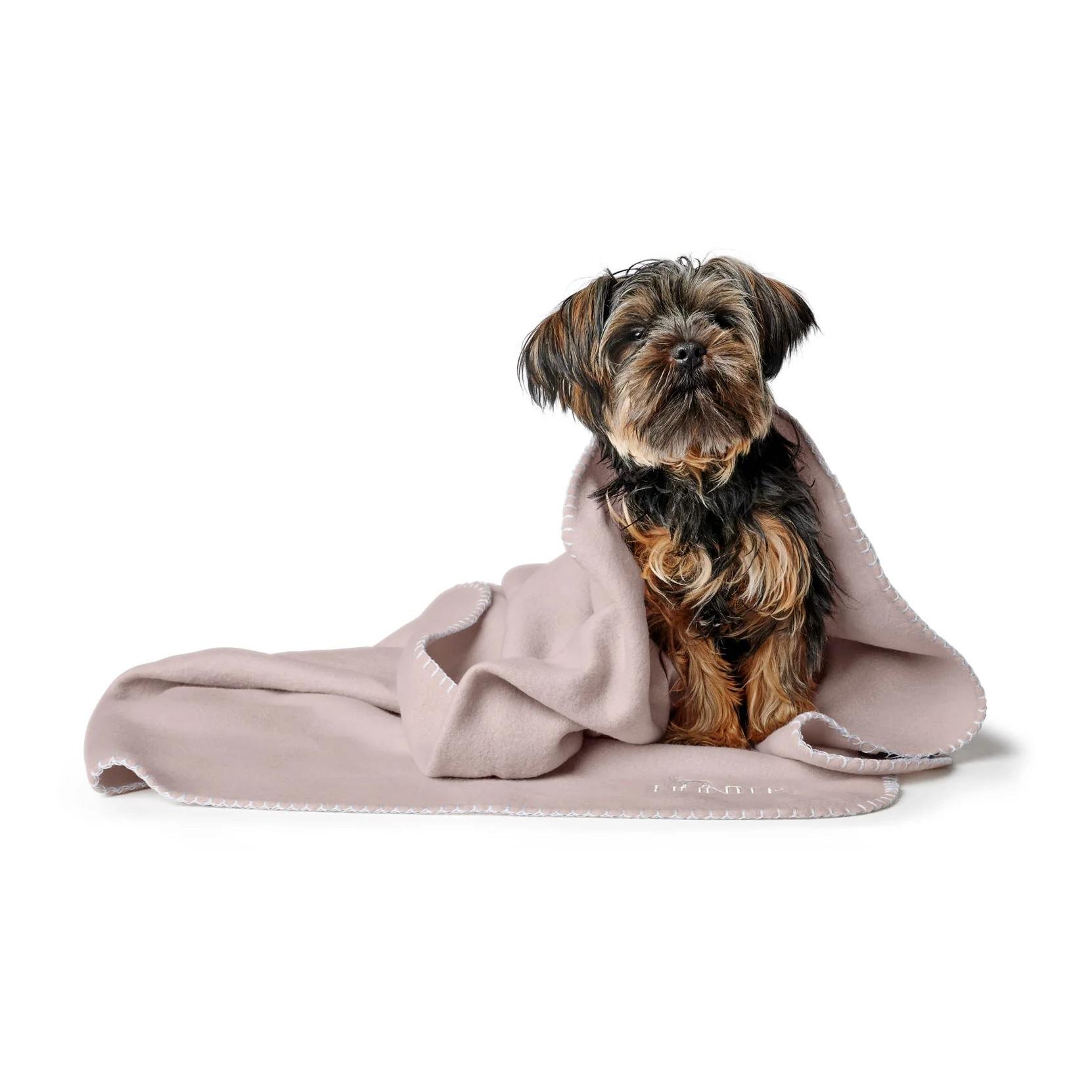 Hunter Hundedecke Casper