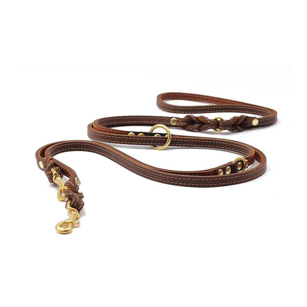 Lederleine Klassik Premium 3m - braun-cognac/gold