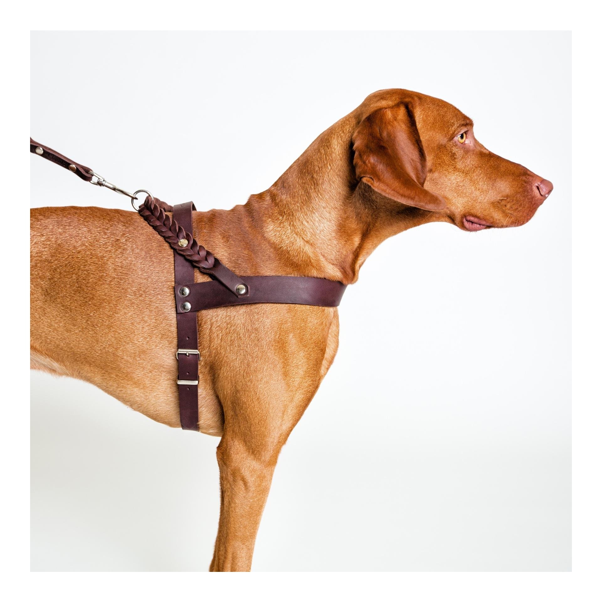 Geschirr Central Park Saddle Brown Echtleder - braun Geschirr Central Park Saddle Brown Echtleder - braun