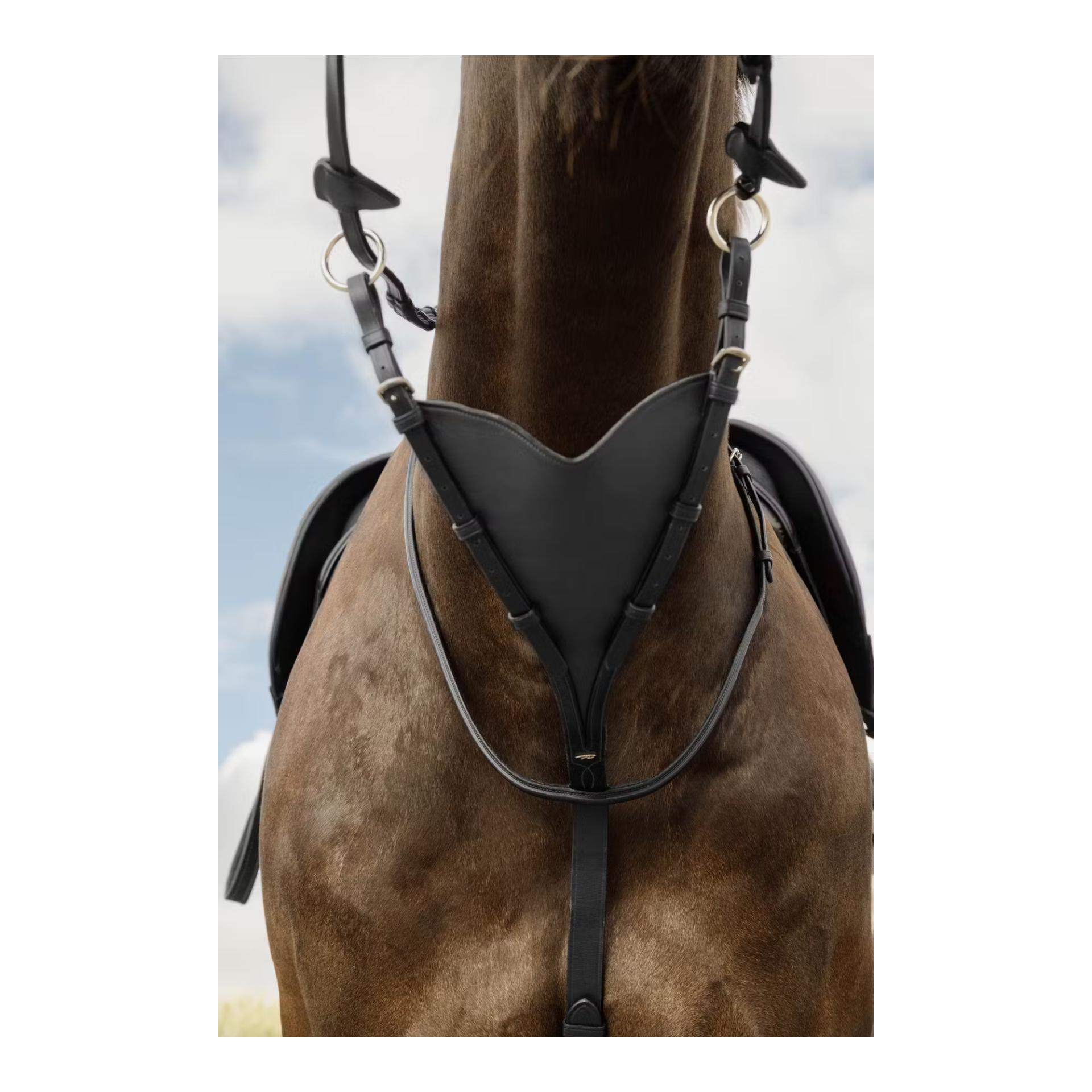 Bib-Martingal aus weichem Leder Bib-Martingal aus weichem Leder