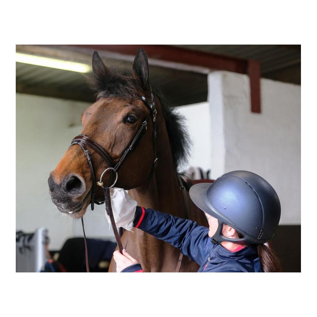 Tack Cleaner Handschuh Tack Cleaner Handschuh