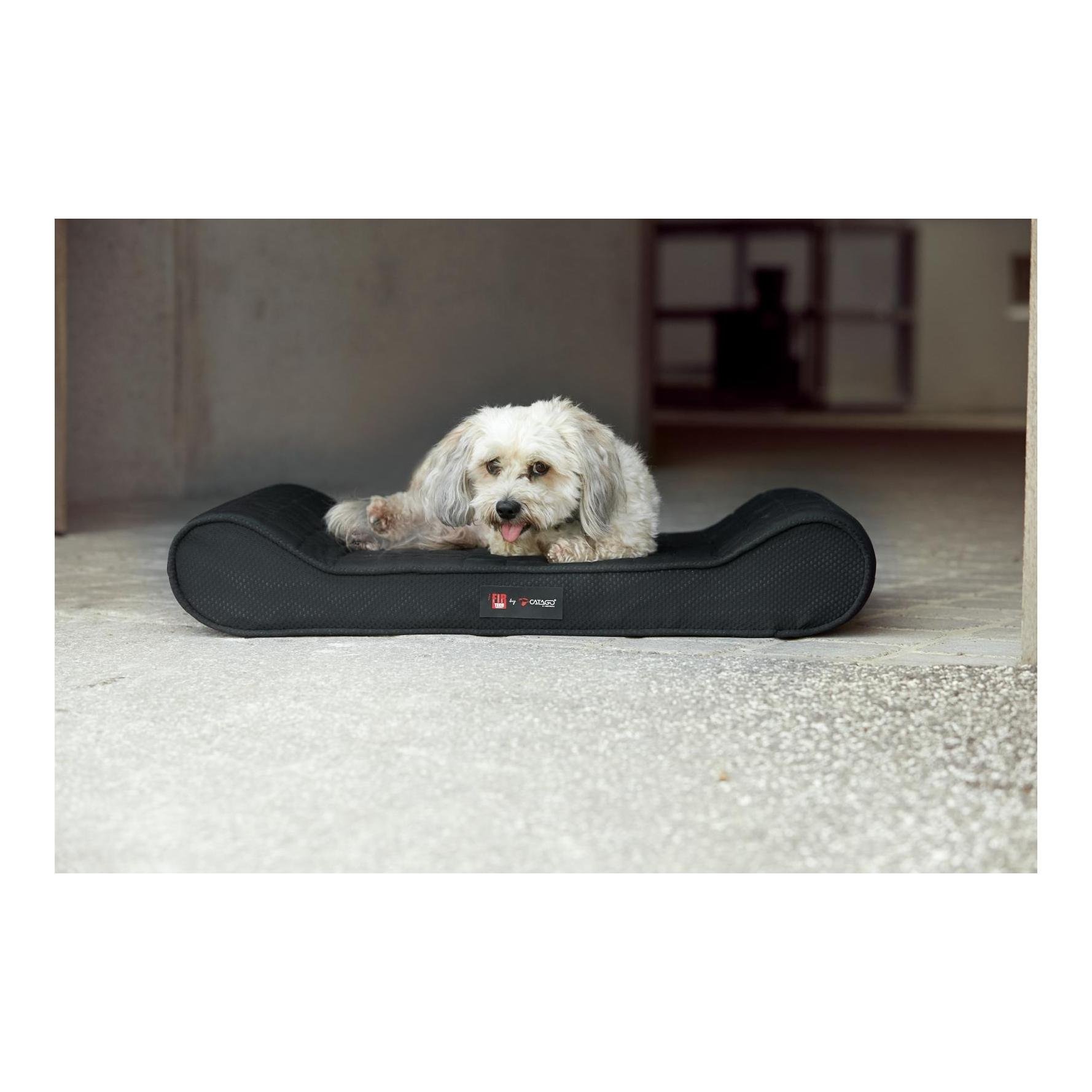 Catago Hundekissen FIR-TECH