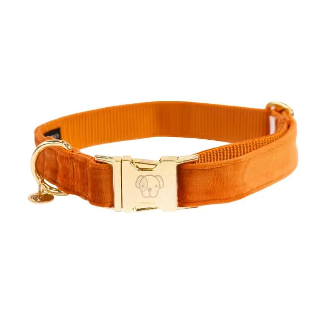 Hundehalsband velvet