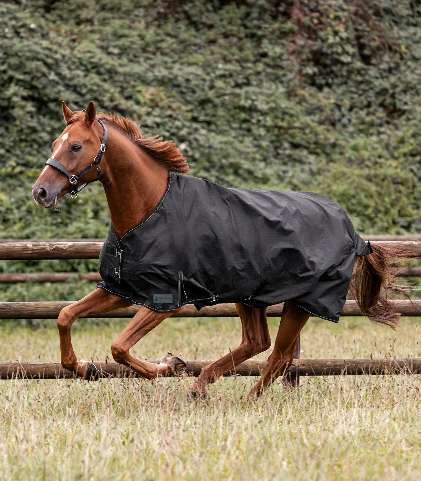 Weidedecke Nordic Light