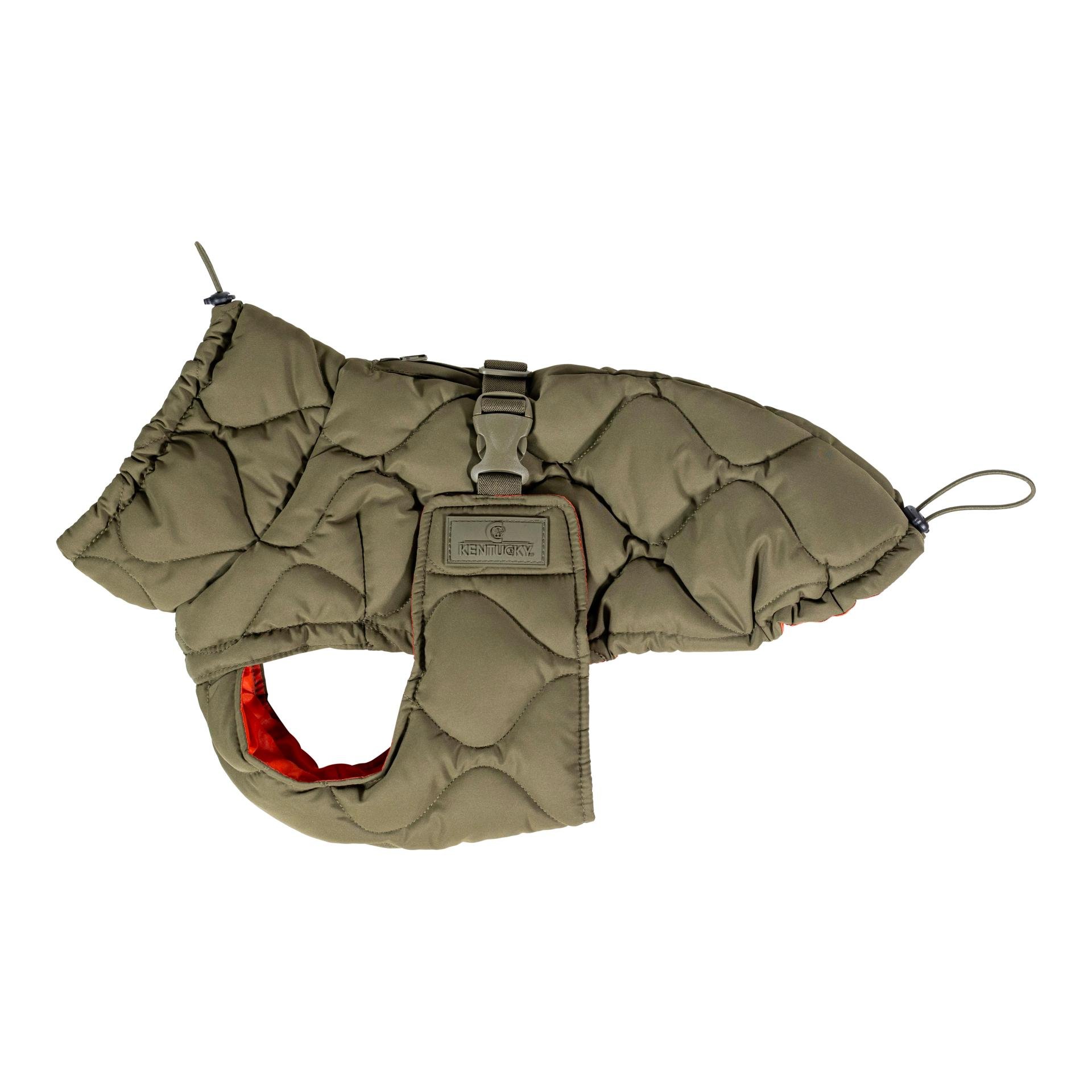 Manteau pour chien Pina - 160g