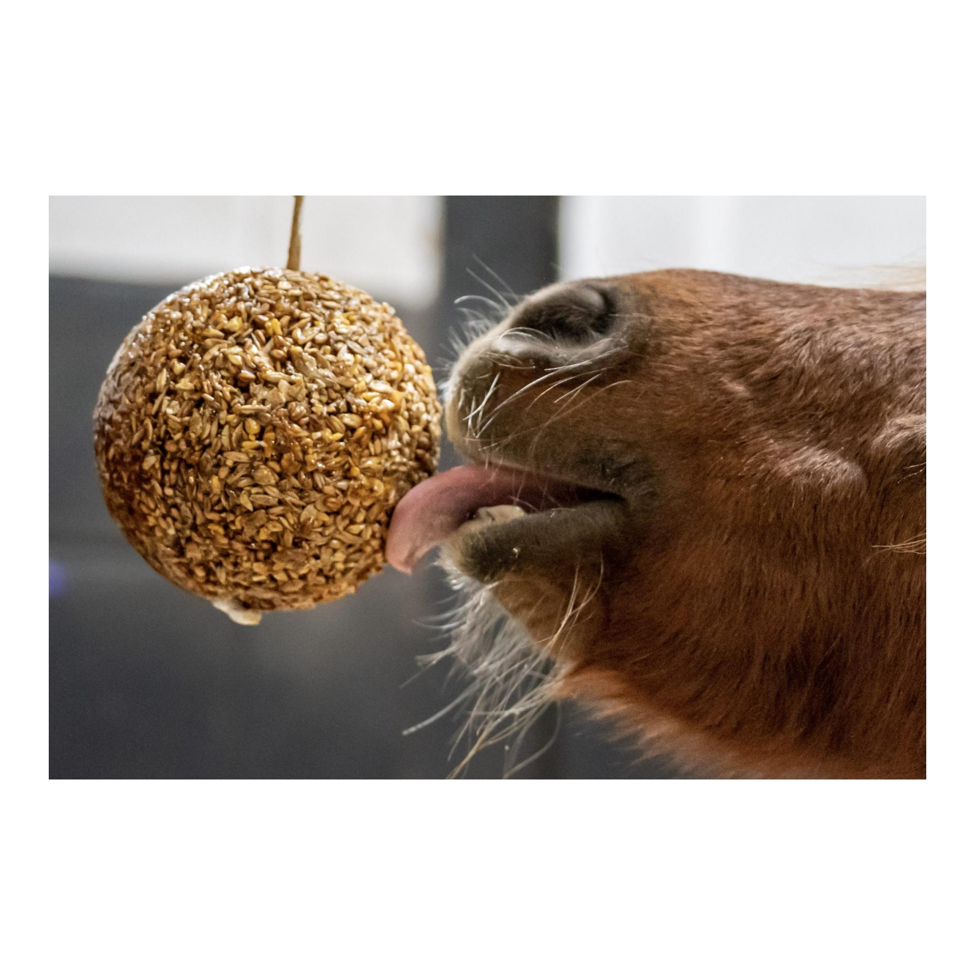 Müslikugel Melasse Müslikugel Melasse