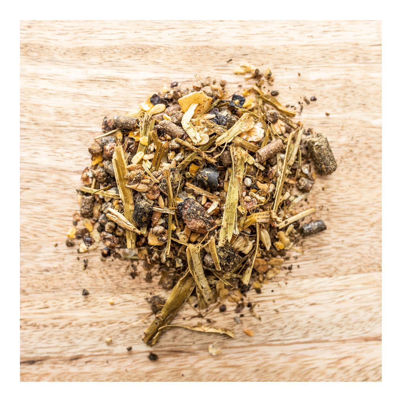 Xp Gastro Protect Sport Performance