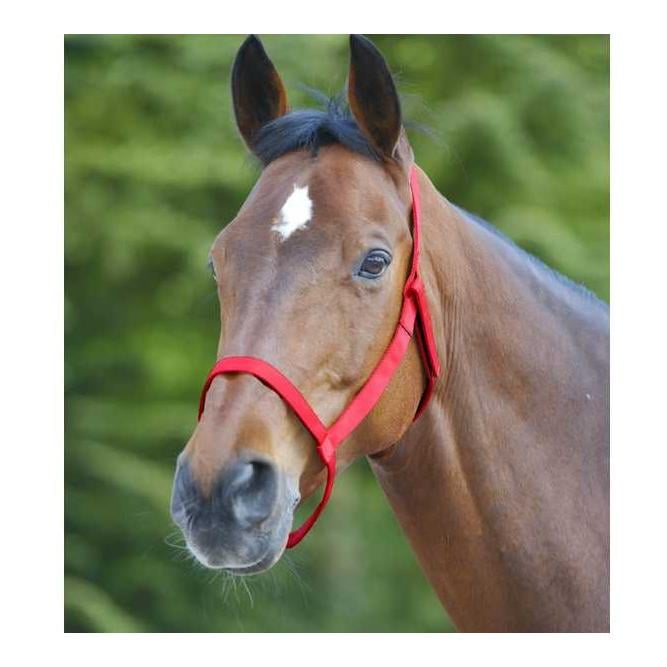 Weidehalfter - rot
