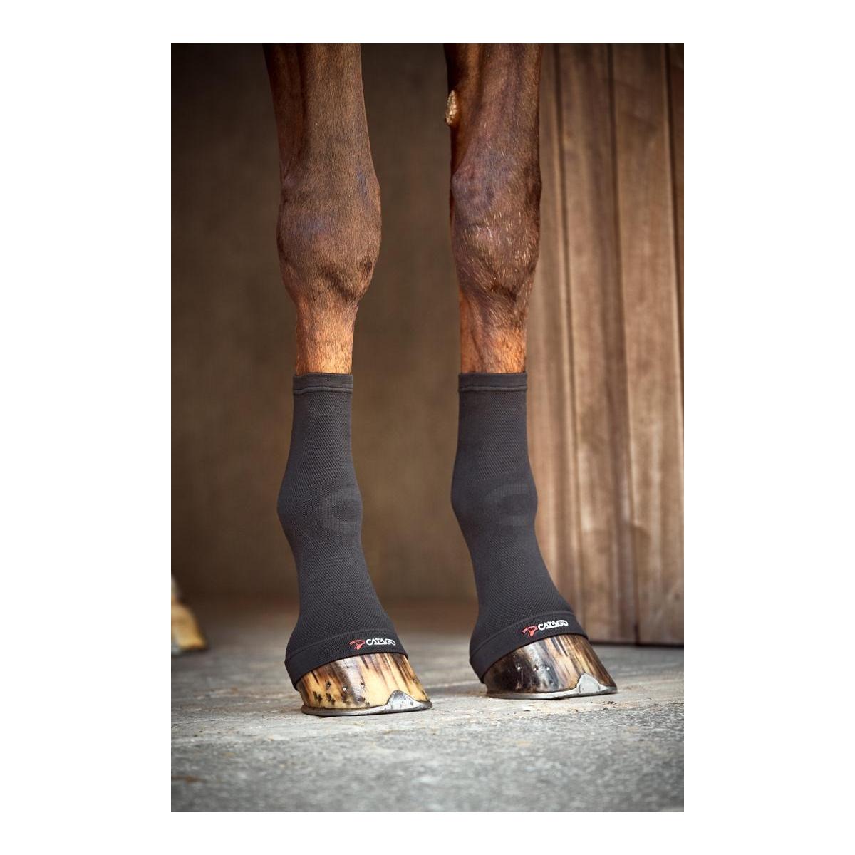 Catago Chaussettes de cheville FIR-Tech