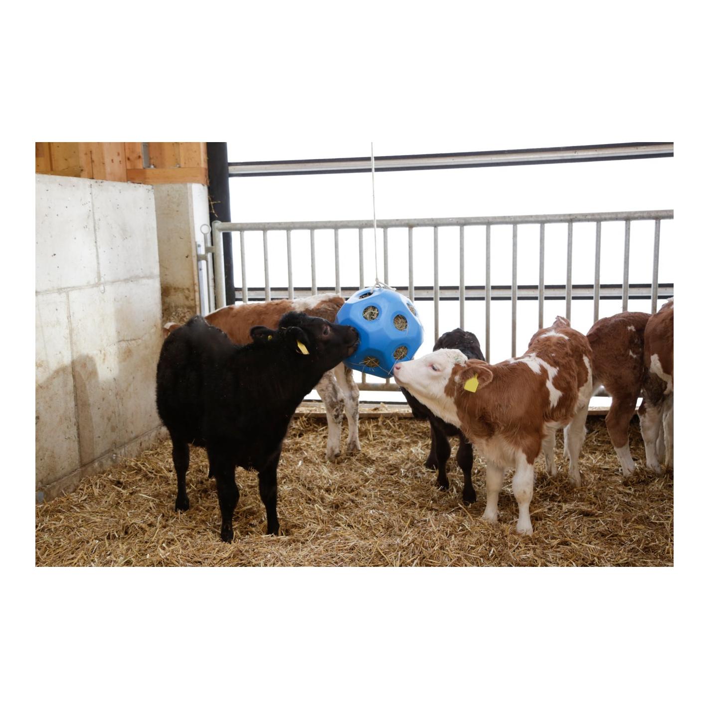 Balle de jeu alimentaire HeuBoy - bleu