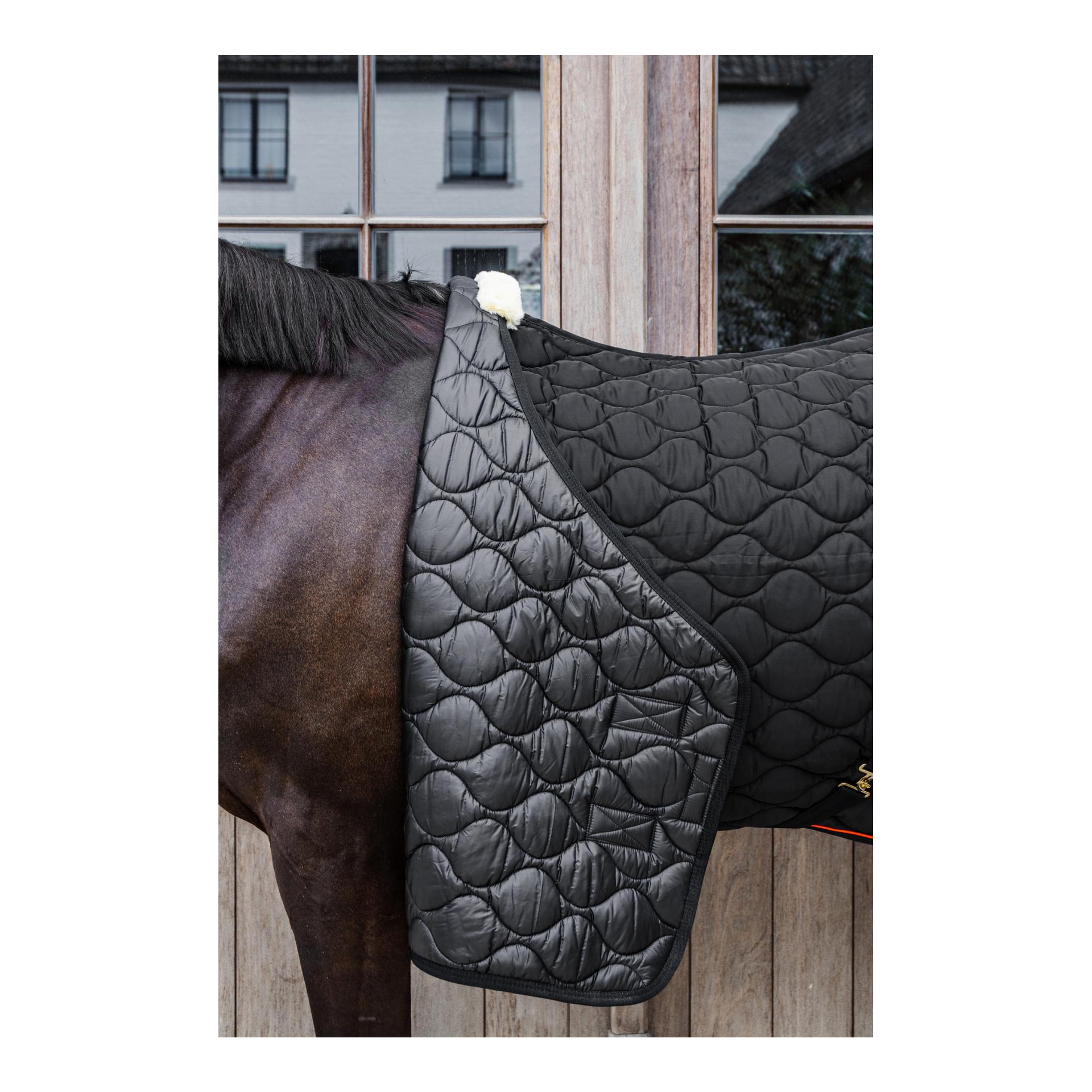 Kentucky Stalldecke Wave 160g