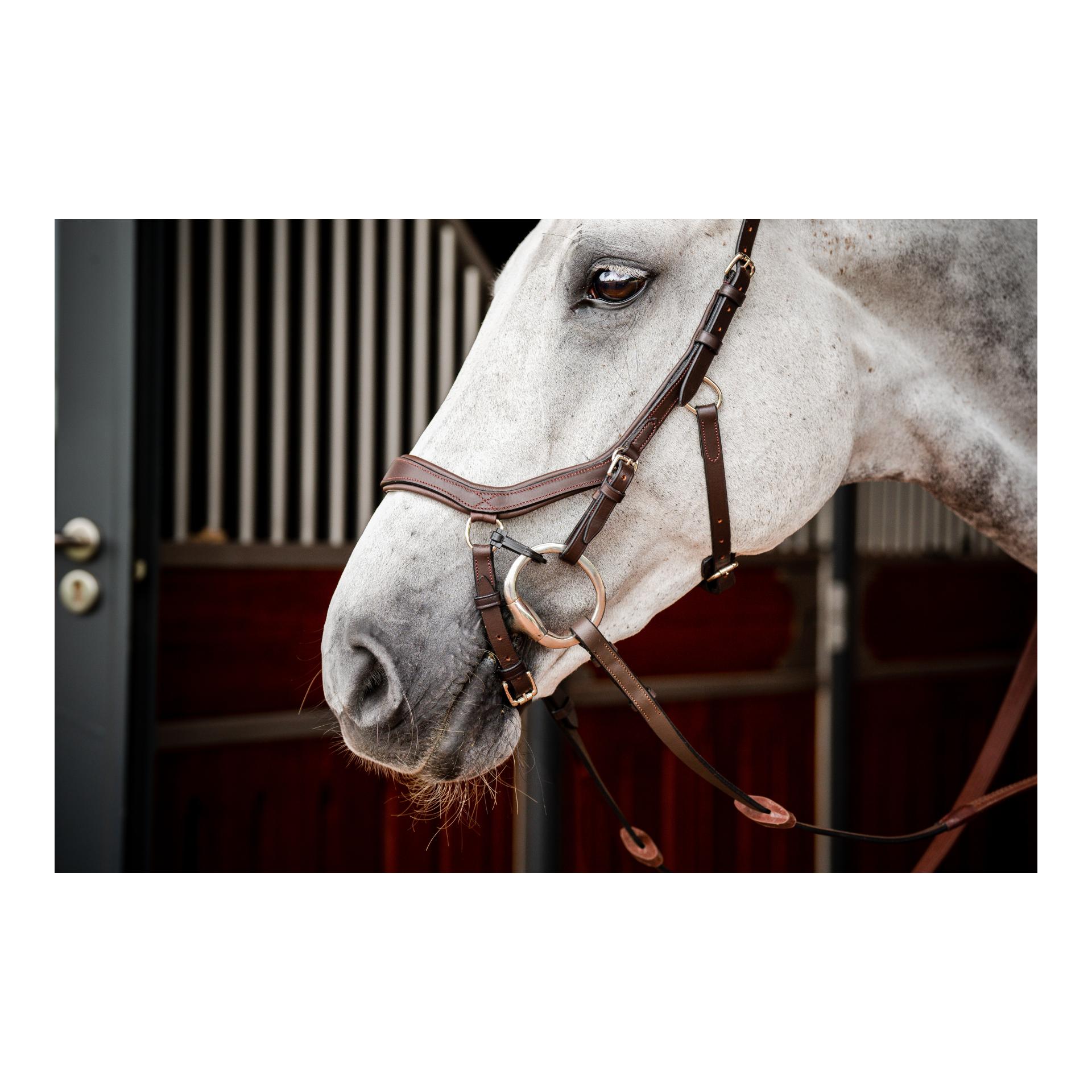 Zaum Micklem3 Competiton ohne Zügel