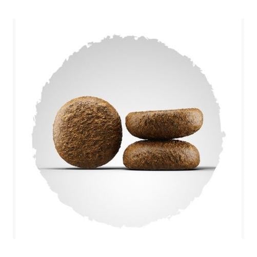 Active Nature Trockenfutter Active Nature Trockenfutter