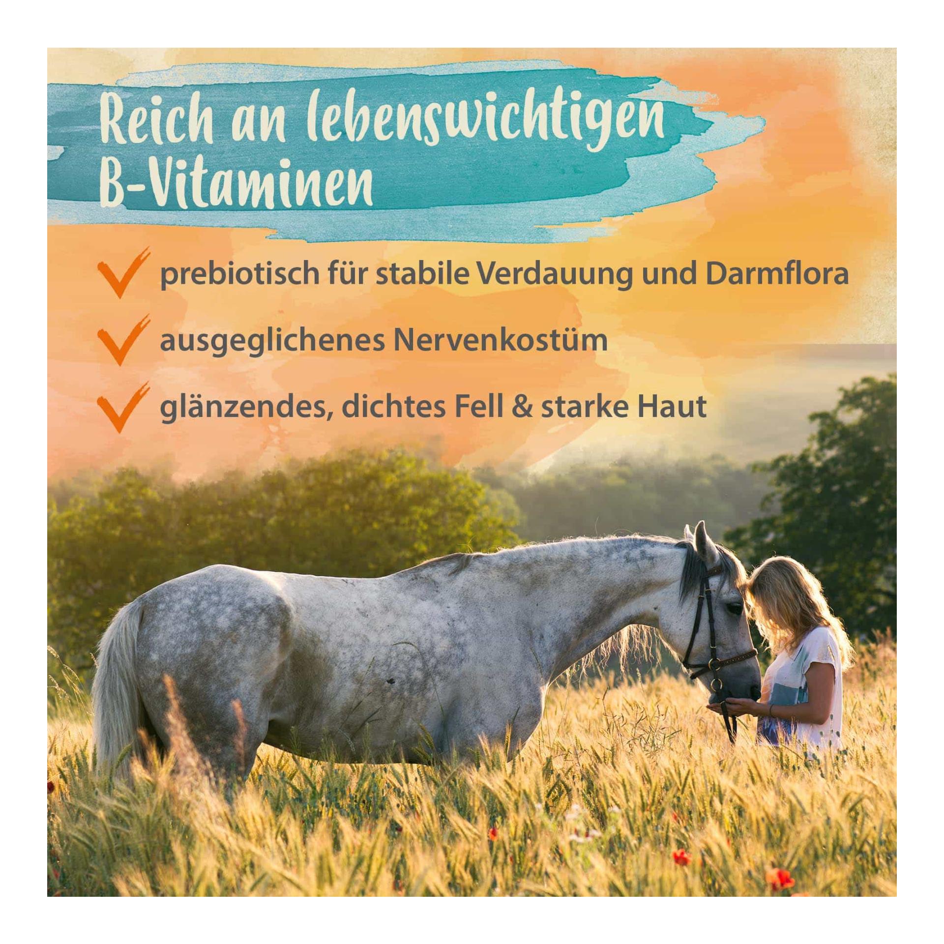 Bierhefe Pulver - Futterergänzung für glänzendes Fell & kräftige Haut Bierhefe Pulver - Futterergänzung für glänzendes Fell & kräftige Haut
