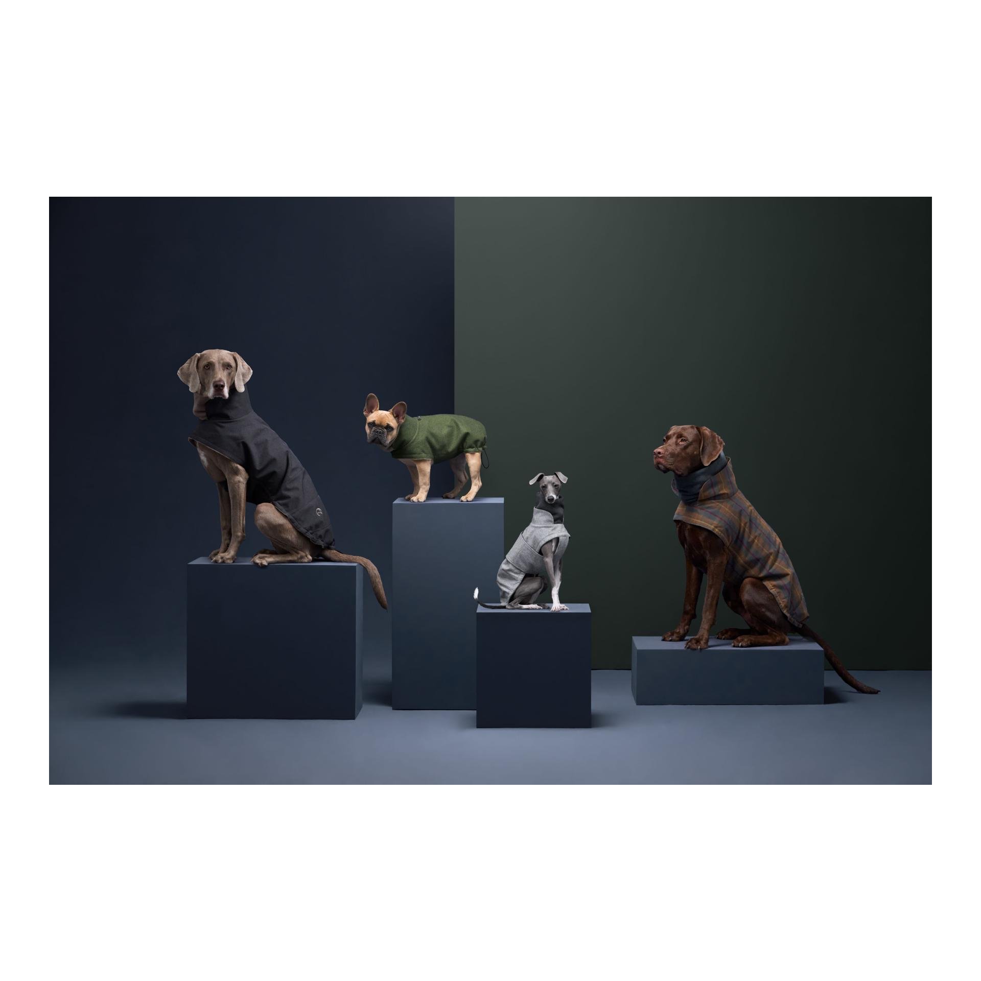 Manteau pour chien Brooklyn Flannel - gris