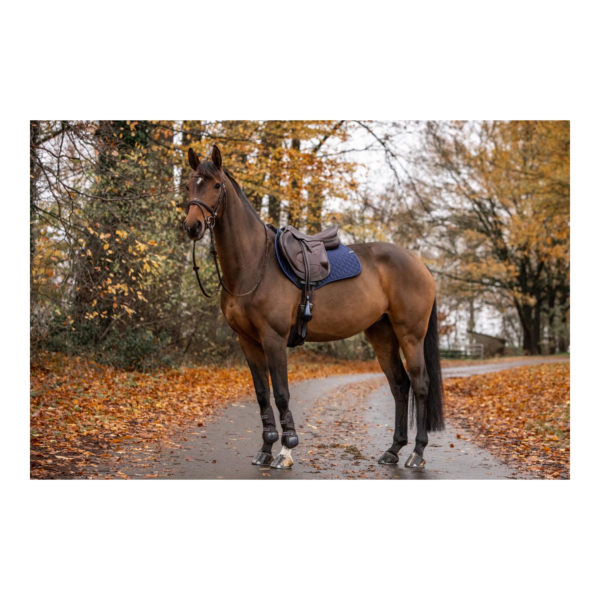 Stübben Chabraque Streamline Saut GEN2