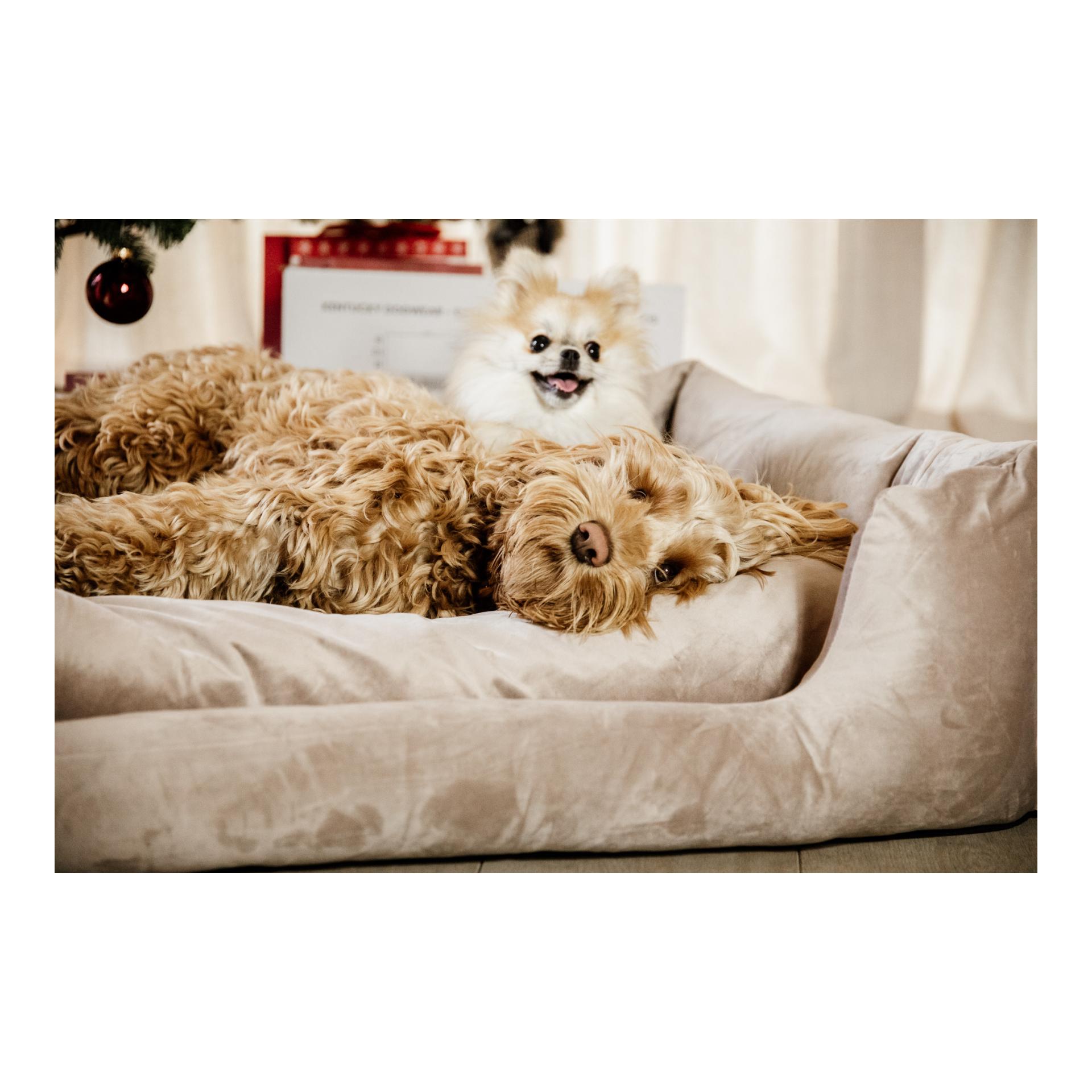 Hundebett Velvet Hundebett Velvet