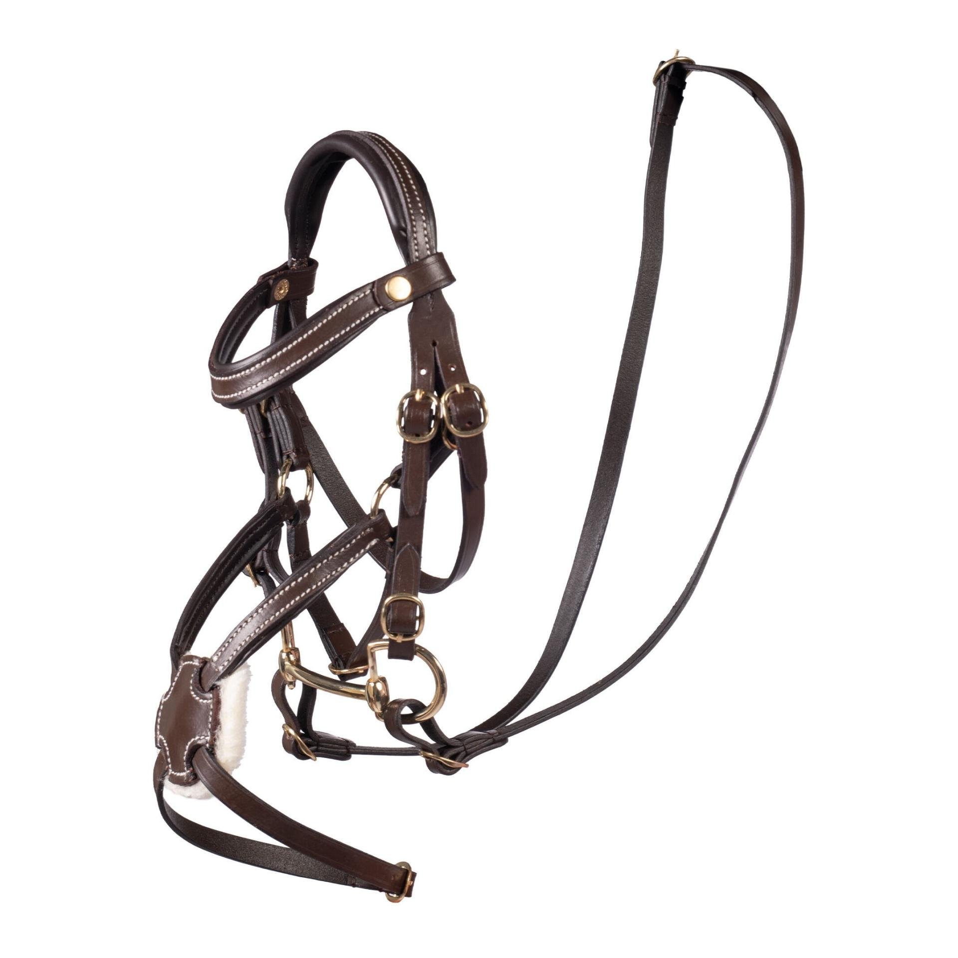 HKM Zaum mexikanisch Hobby-Horsing