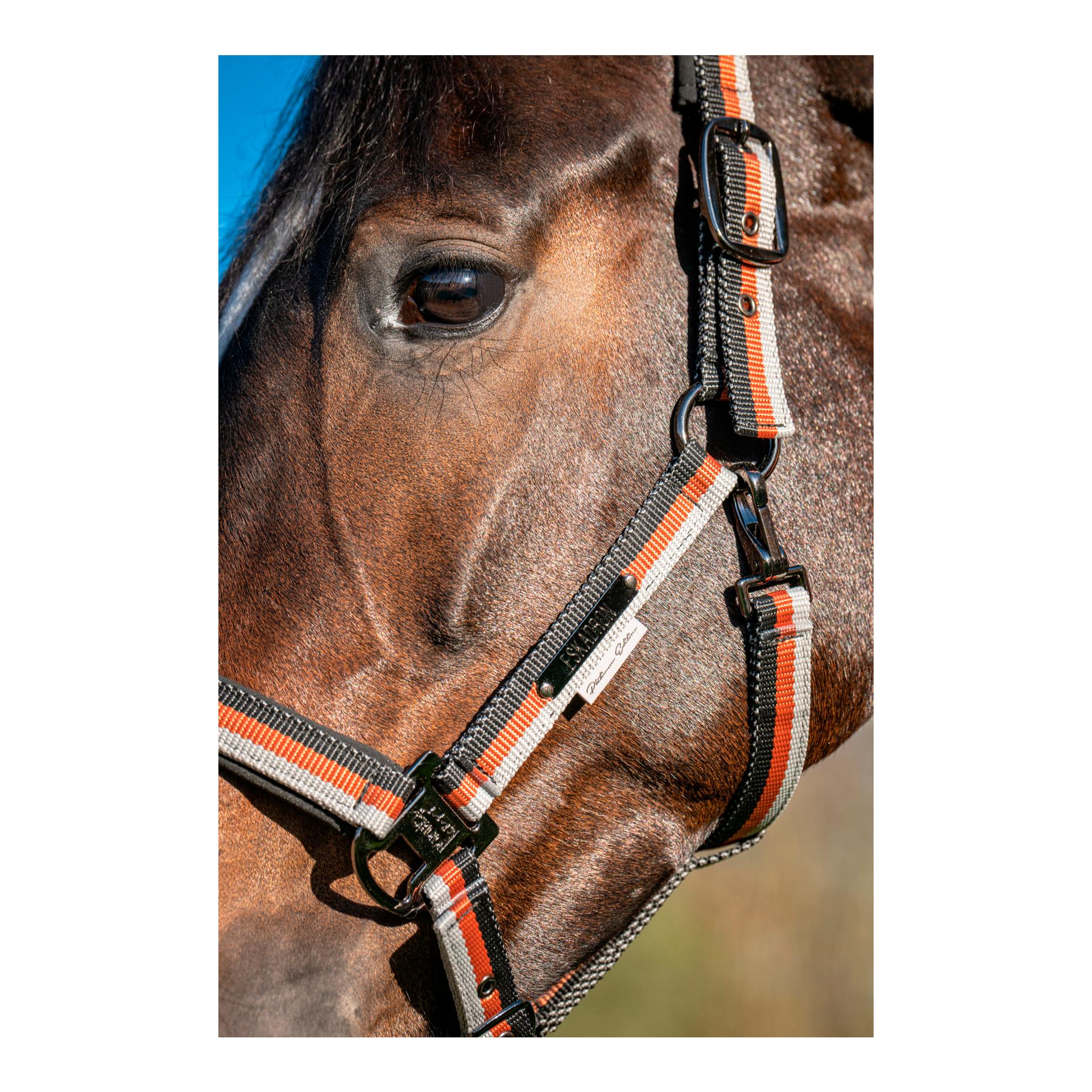 Eskadron Licol GIRTH LIGHT DOUBLE PIN Platinum 26 S/S