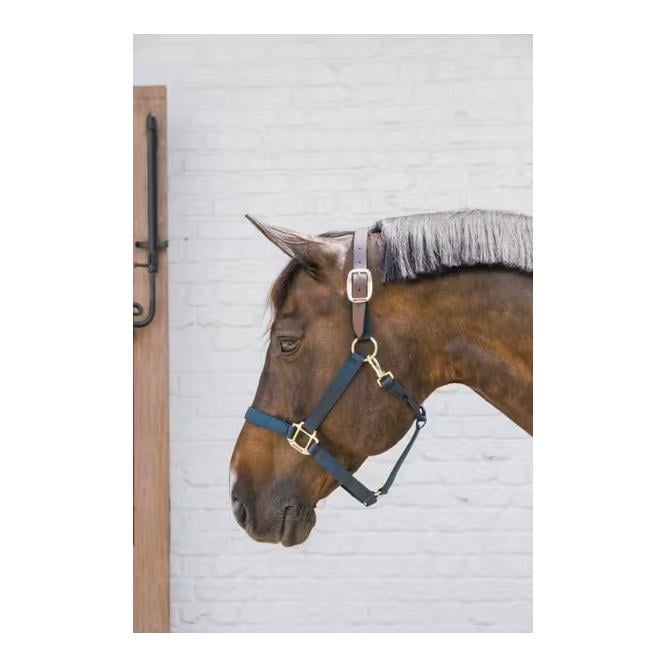 Nylon Halfter Breakaway Nylon Halfter Breakaway
