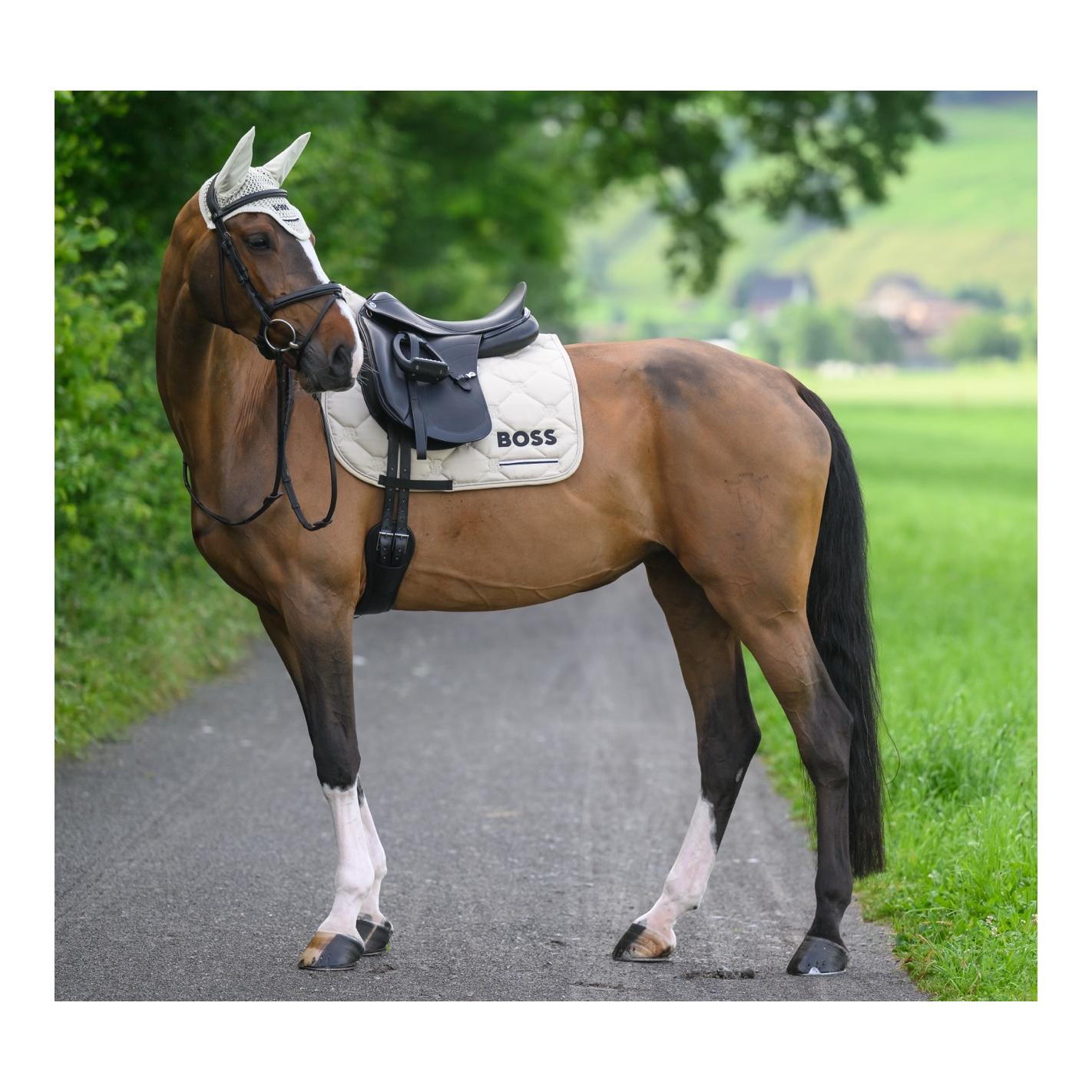 Tapis de dressage Cambridge Tape