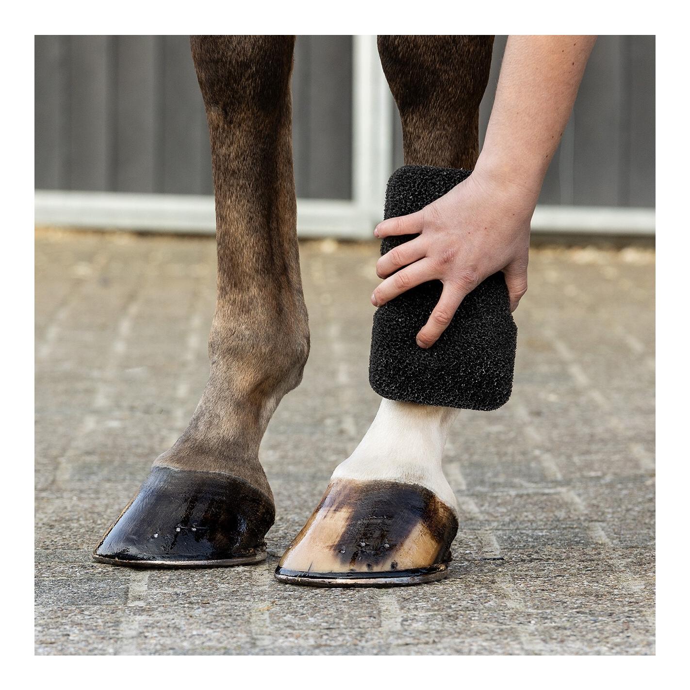 QHP Equi Super Shiner - Éponge pour cheval – nettoyage du pelage