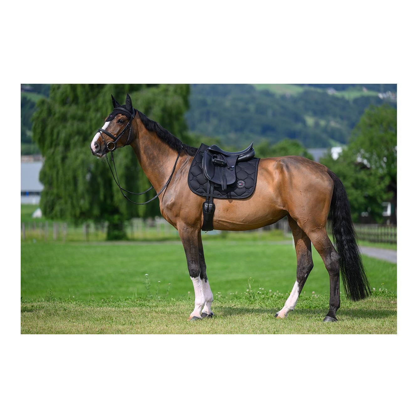 Tommy Hilfiger Equestrian Schabracke Emory 