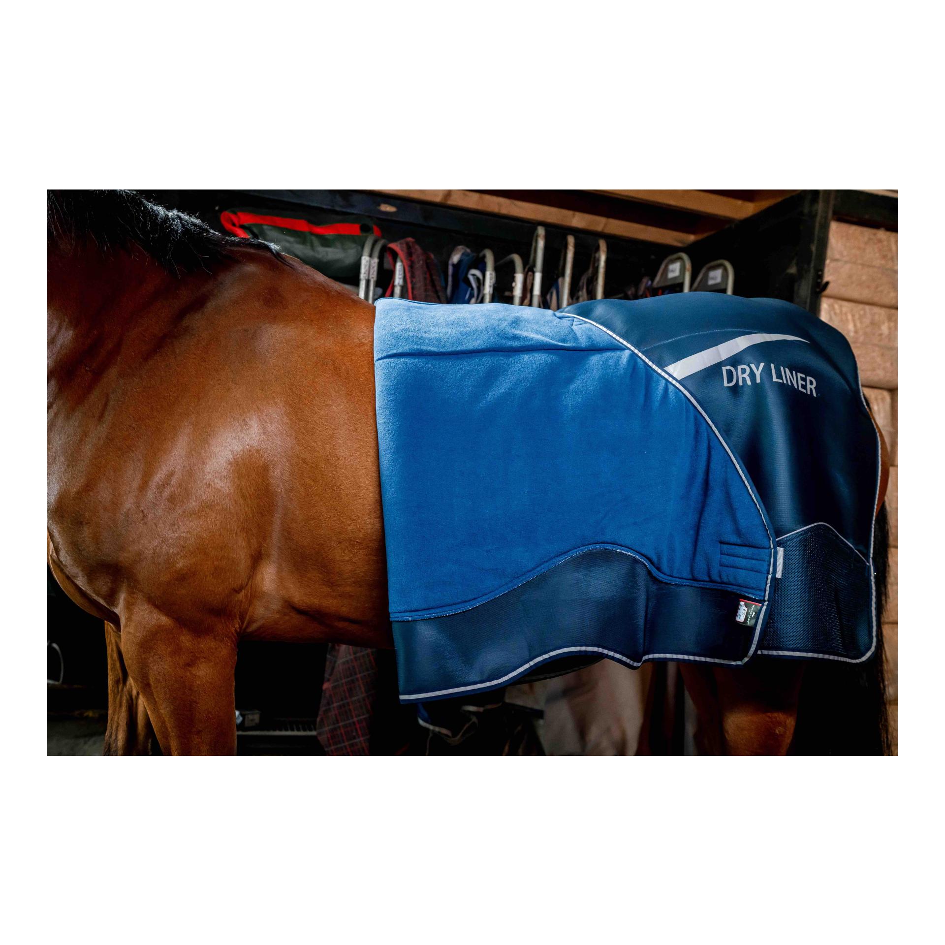 Abschwitzdecke Dry Liner - navy/silver Abschwitzdecke Dry Liner - navy/silver