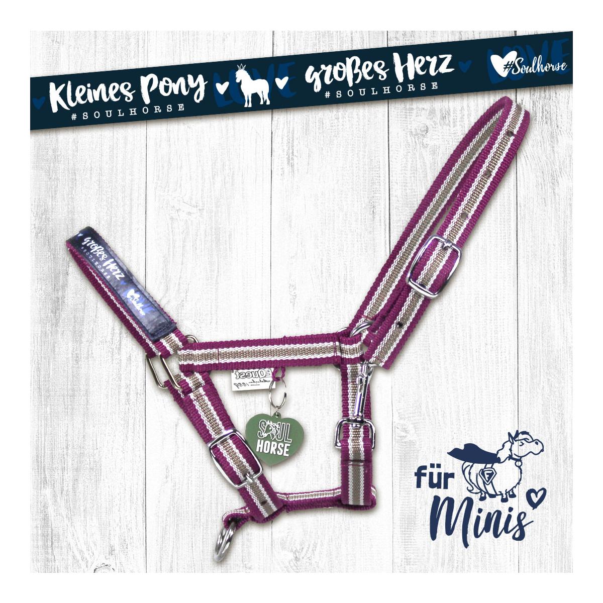 Halfter Shetty & Mini-Shetty