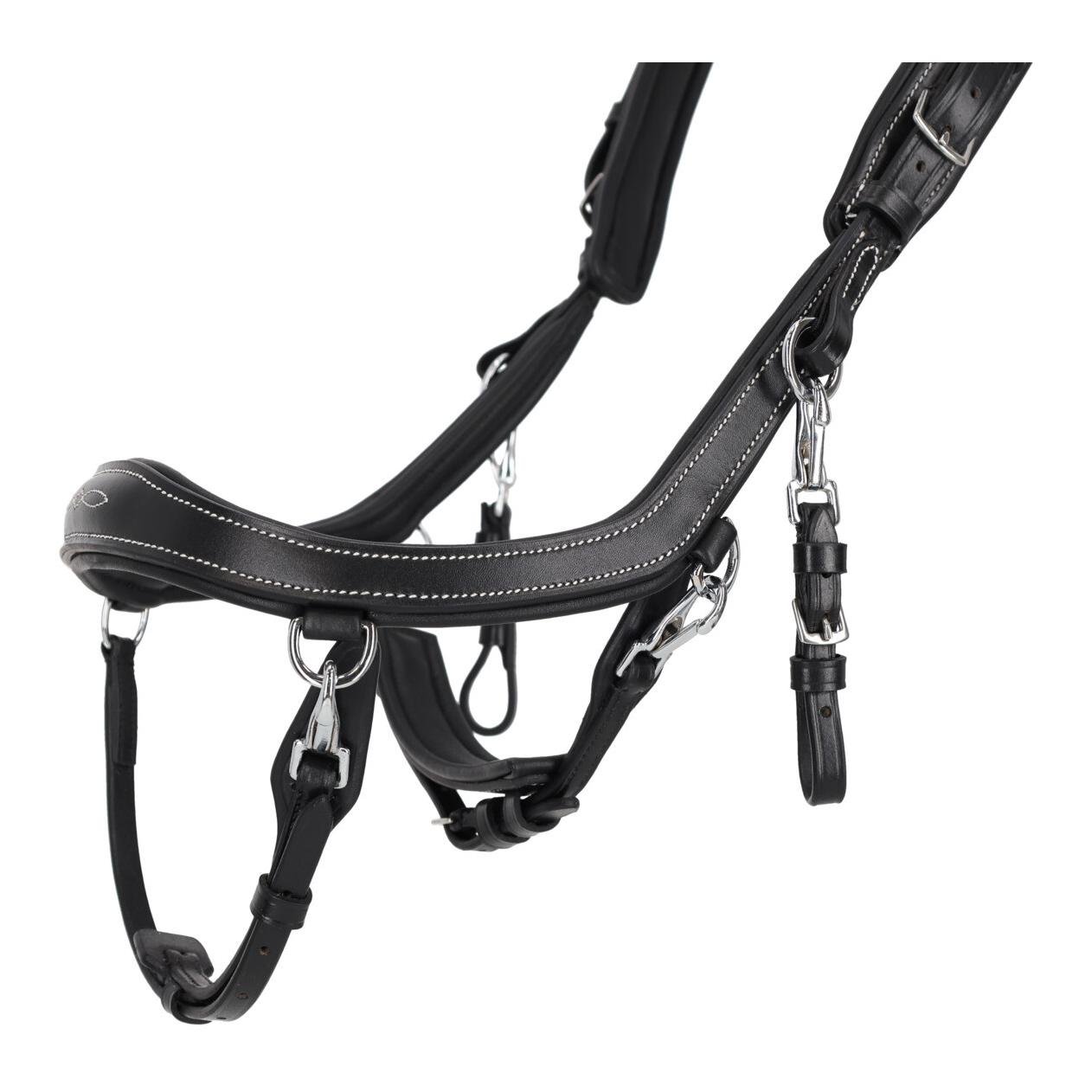 PresTeq Zaumzeug FaySport Classic 