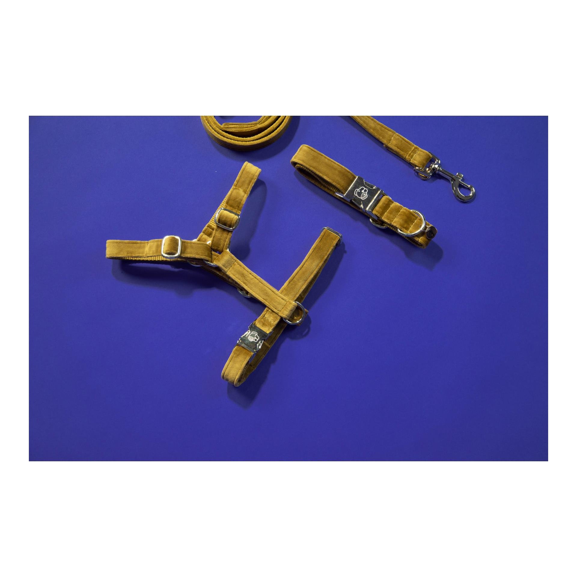 Hundegeschirr Loop Velvet - mustard Hundegeschirr Loop Velvet - mustard