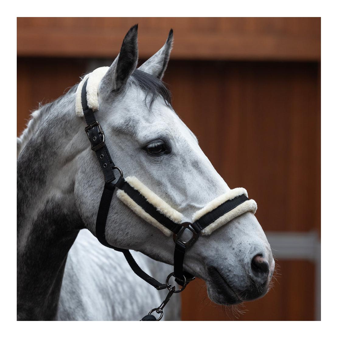 Kingsland Kunstfellhalfter mit Strick KLLexie