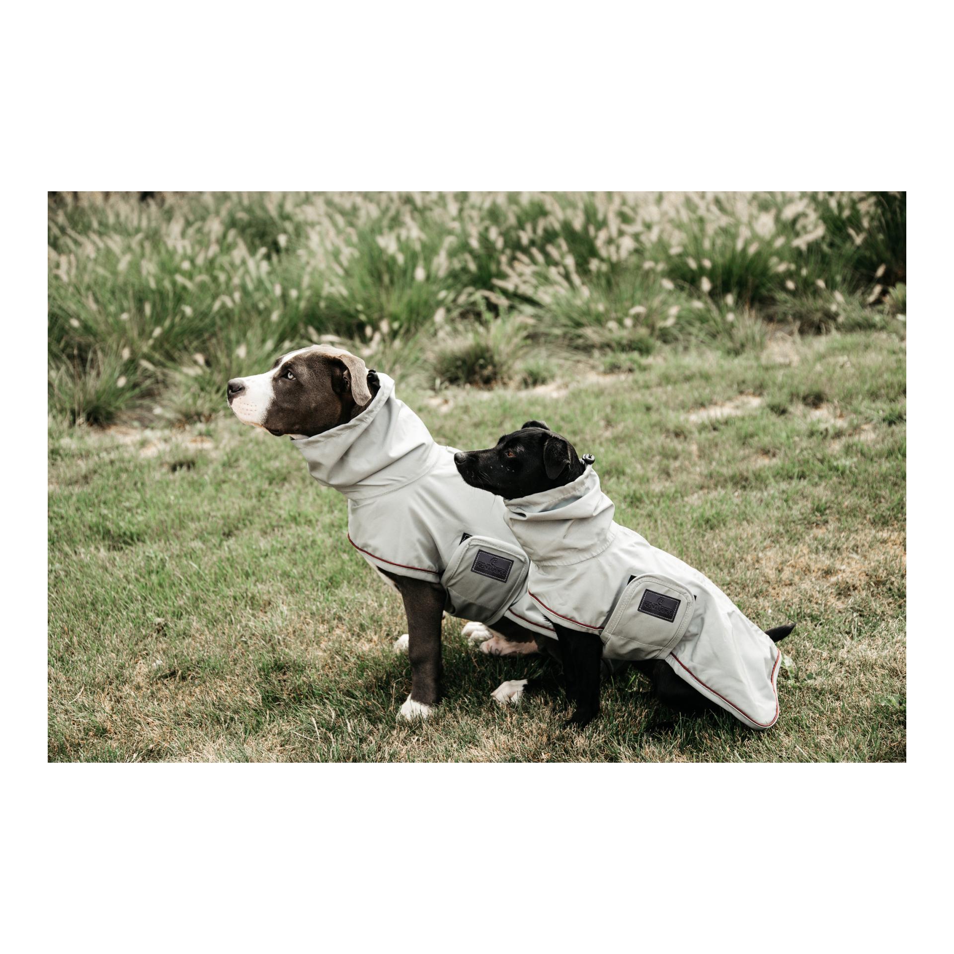 Hunde Regenjacke Hunde Regenjacke
