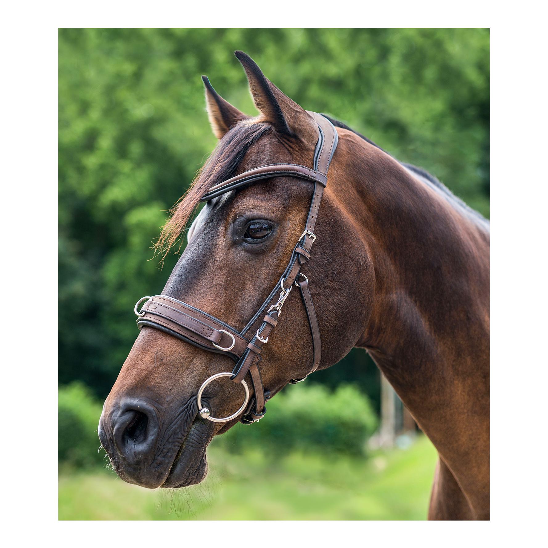 Lederkappzaum Anatomic - braun