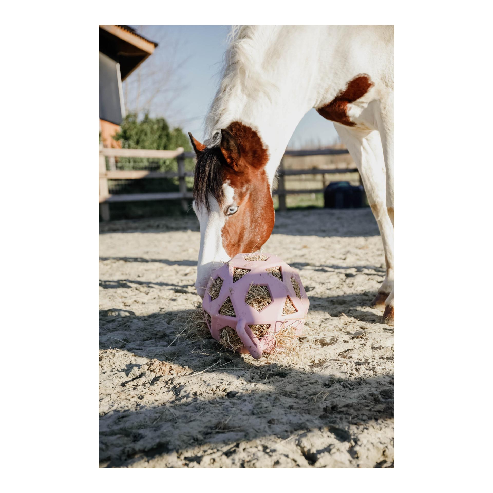 Relax Horse Spiel & Heuball Relax Horse Spiel & Heuball
