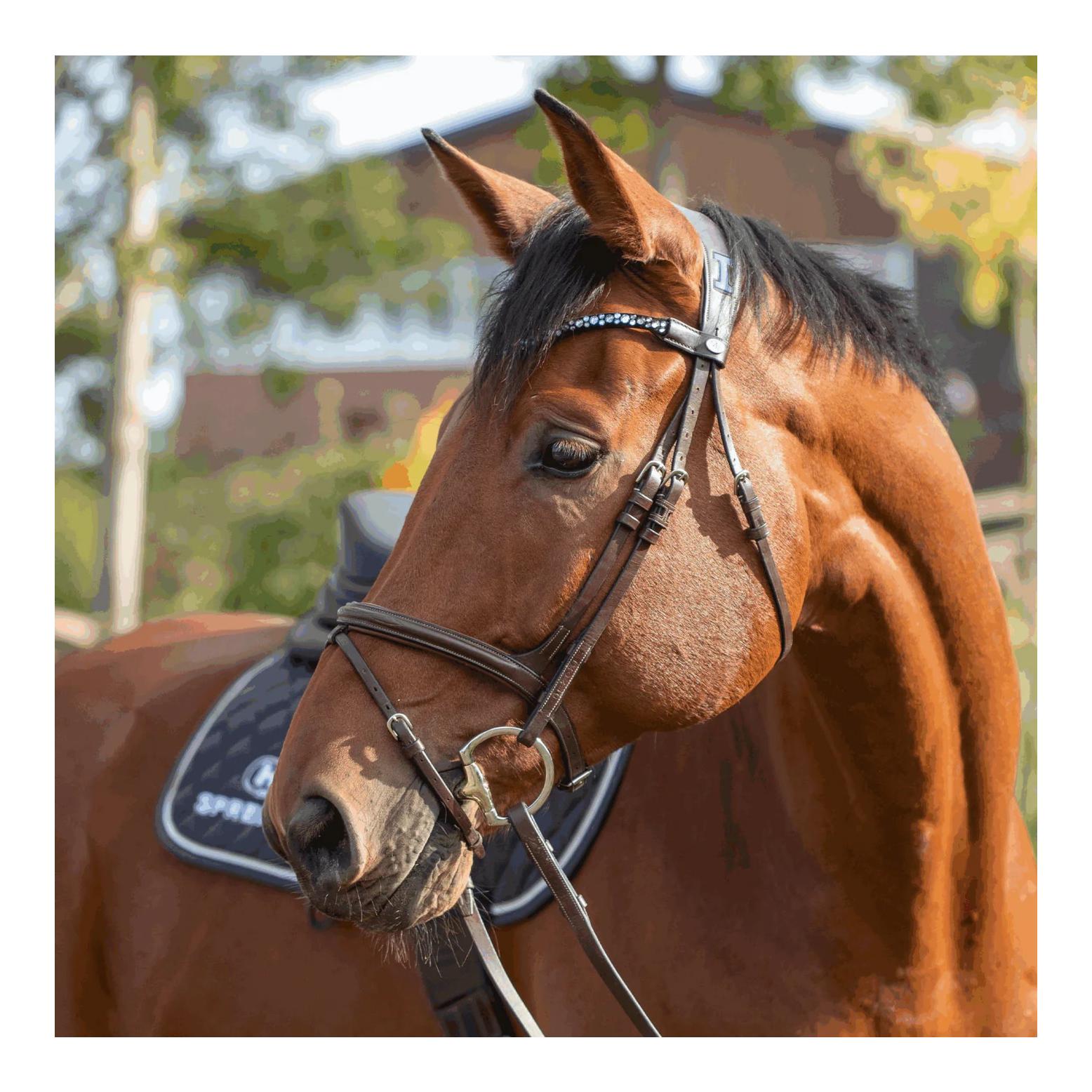 Sprenger Dynamic RS Olivenkopfgebiss mit D-förmigem Ring 16 mm doppelt gebrochen