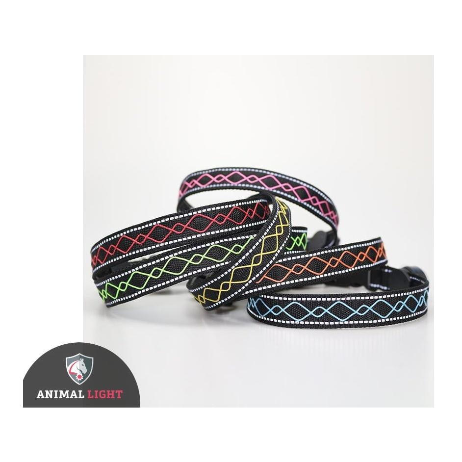 Collier lumineux pour chien "Beauty" Collier lumineux pour chien "Beauty"