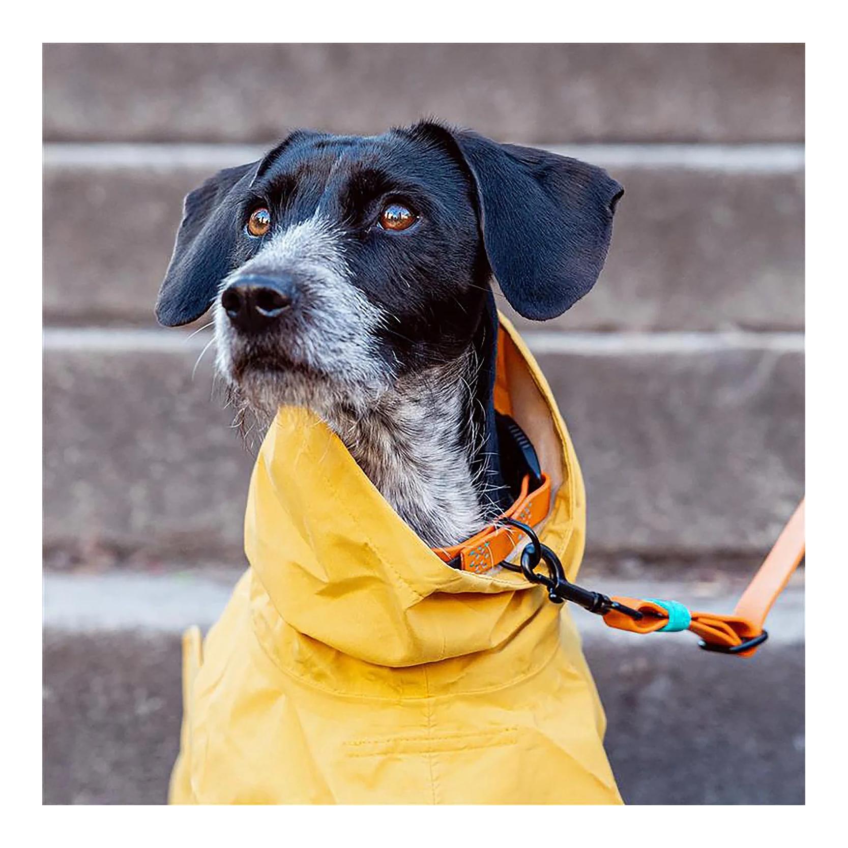 Imperméable pour chiens Helgoland 