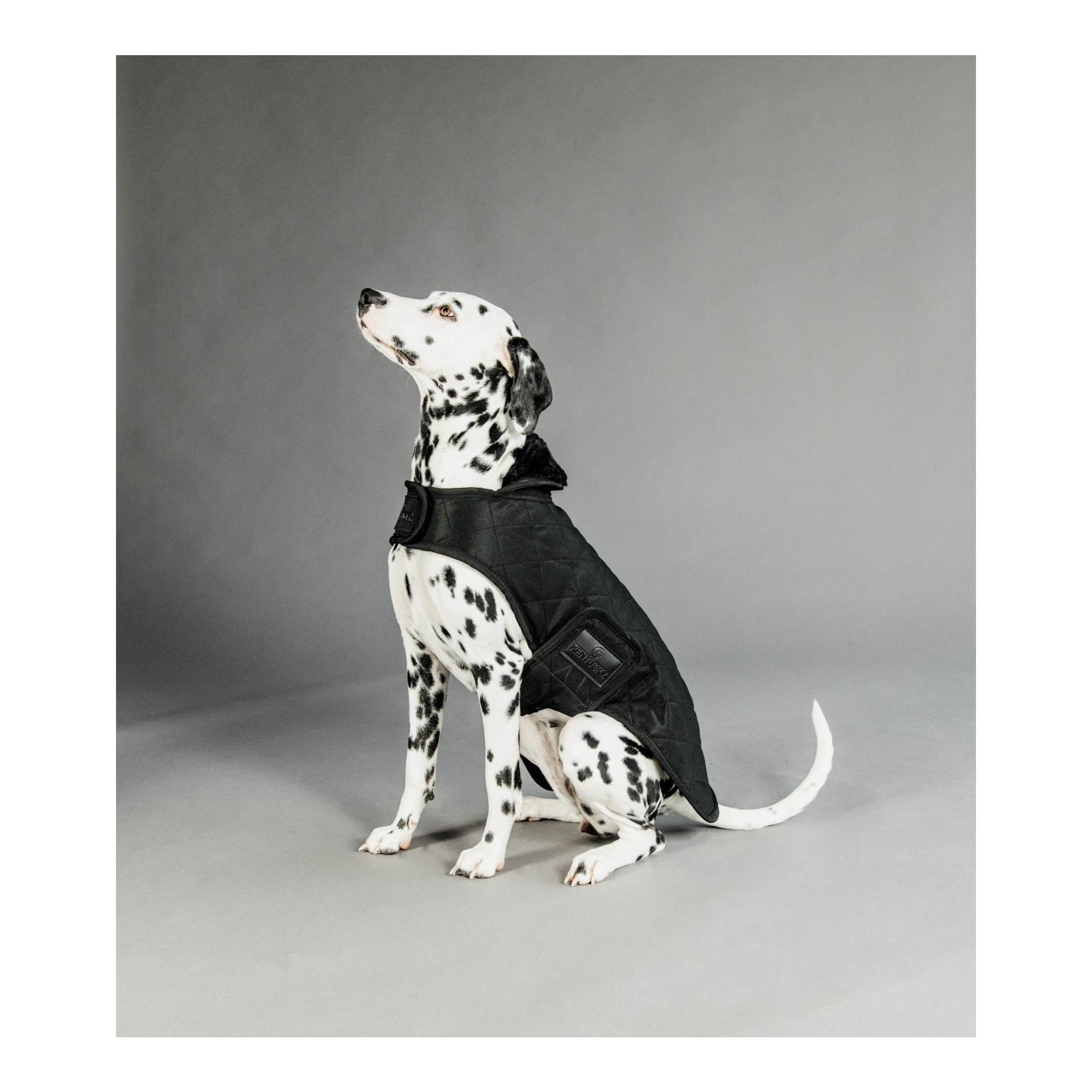 Hundemantel Original - black/black Hundemantel Original - black/black