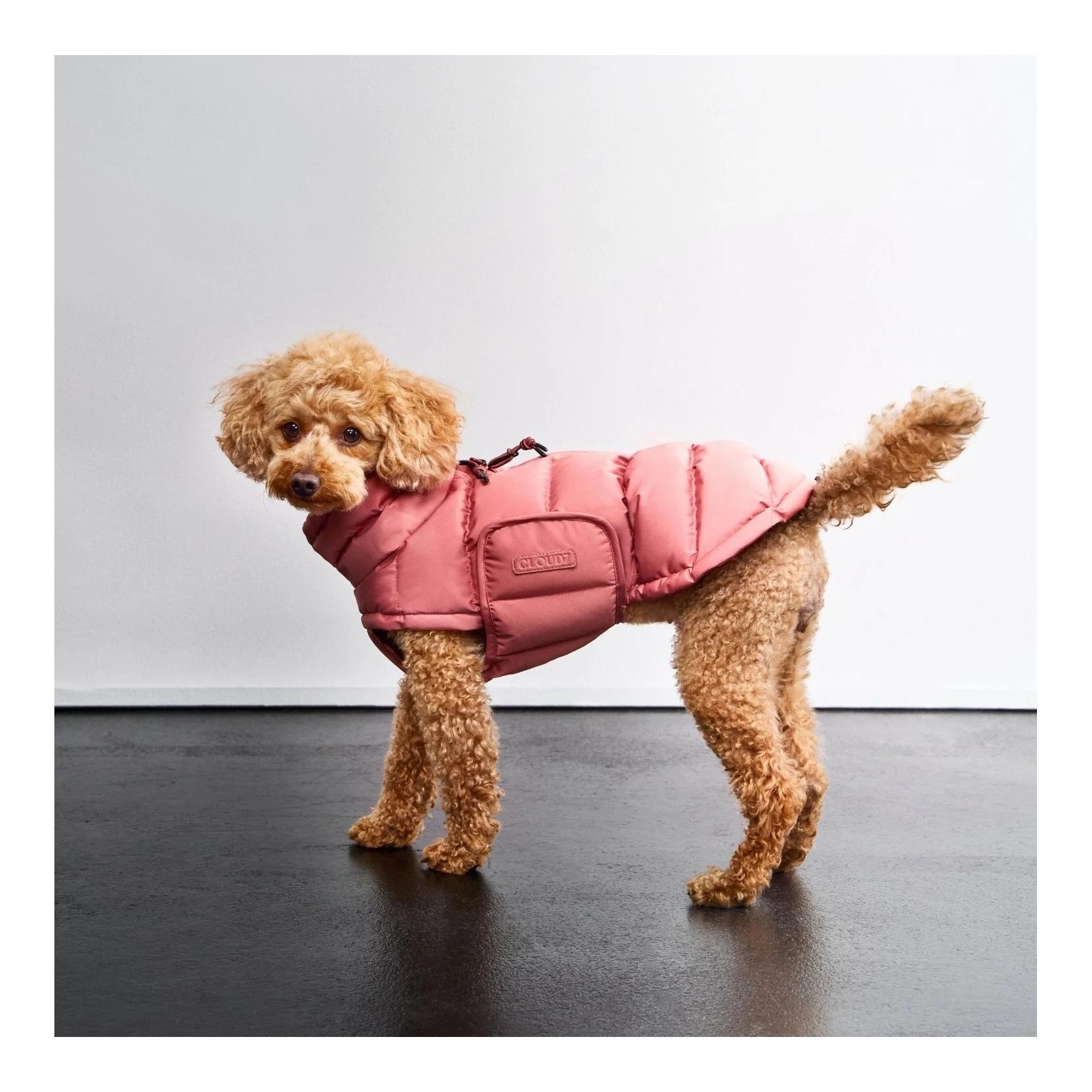 Winter Hundemantel Alaska Regular