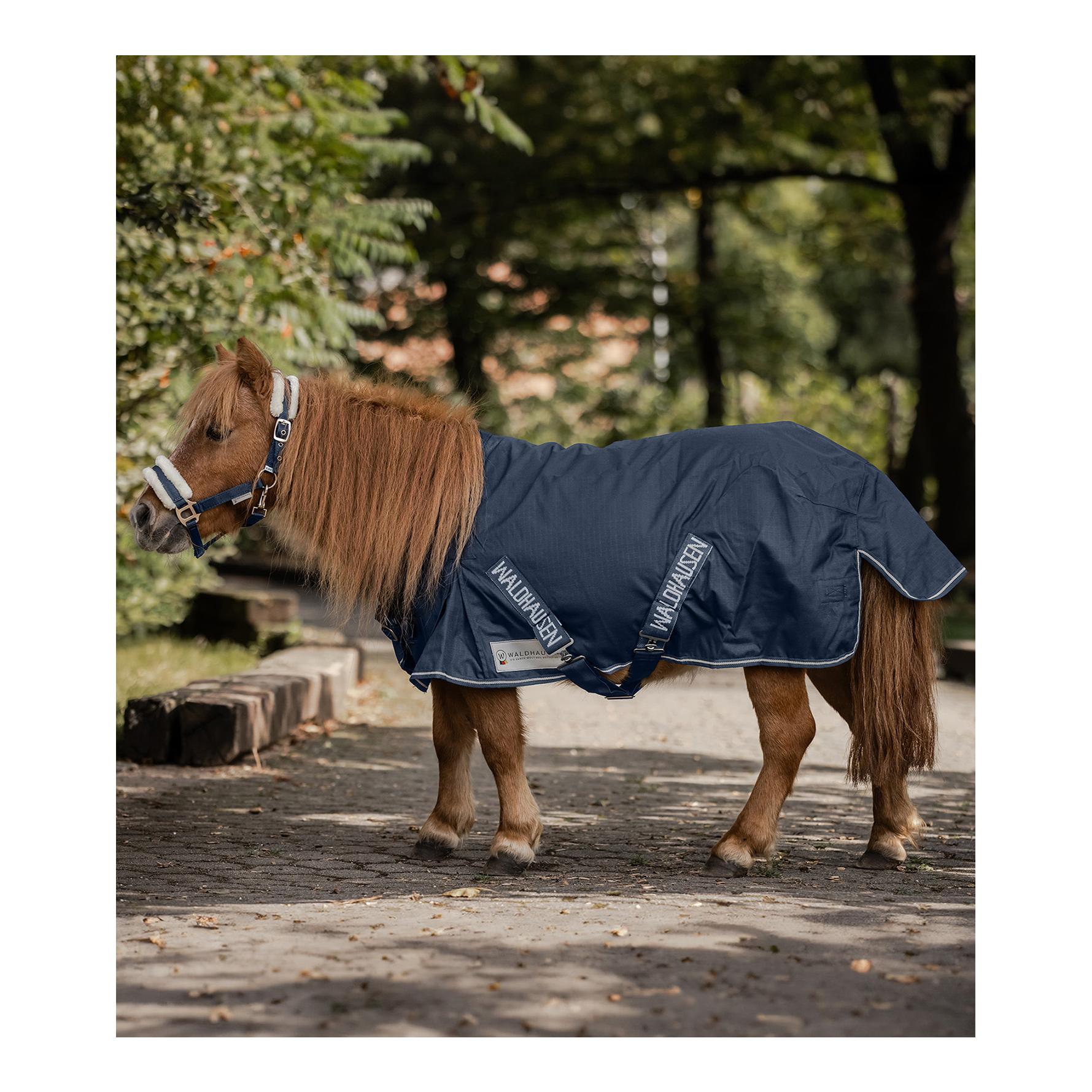 Shetty-Regendecke - marine