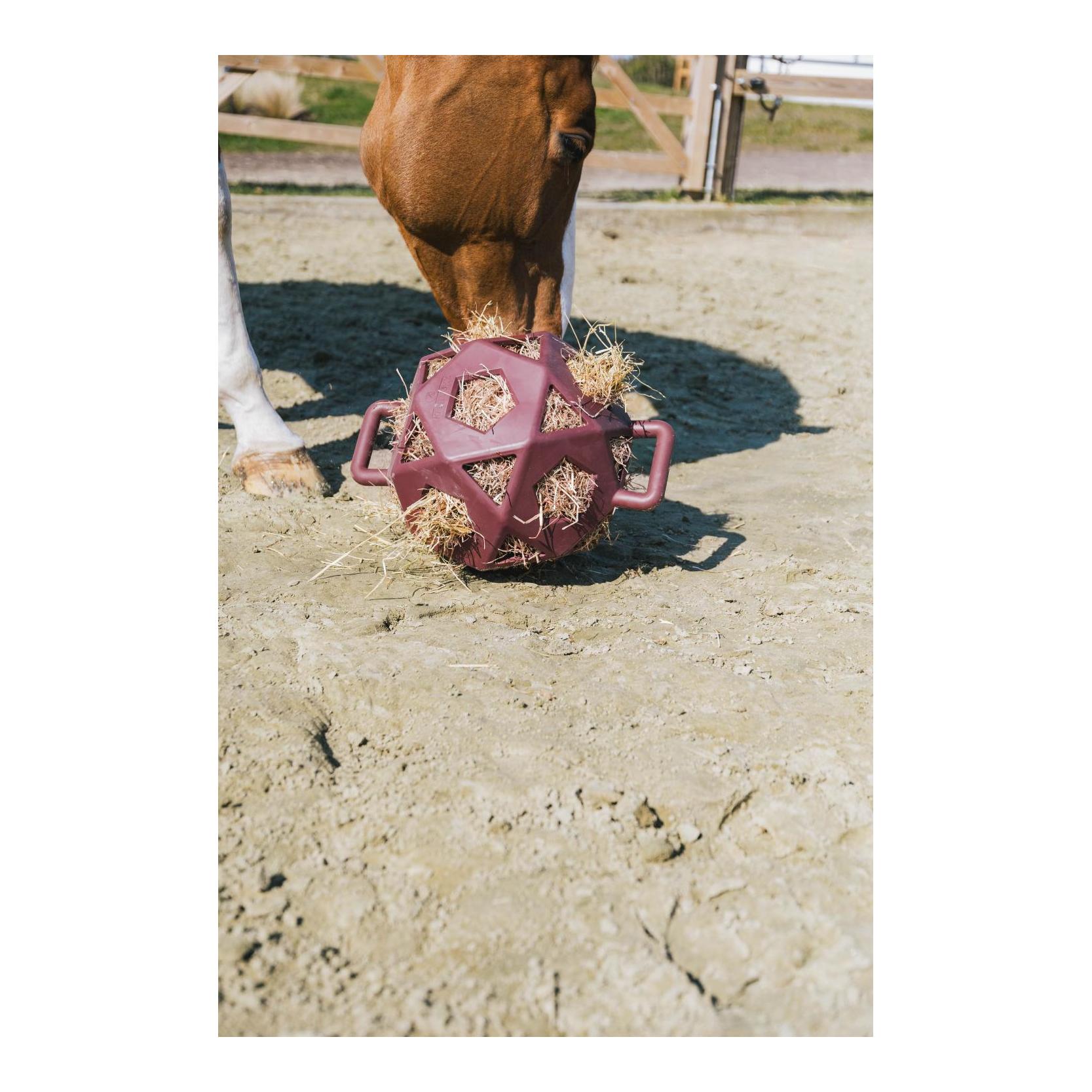 Relax Horse Spiel & Heuball Relax Horse Spiel & Heuball